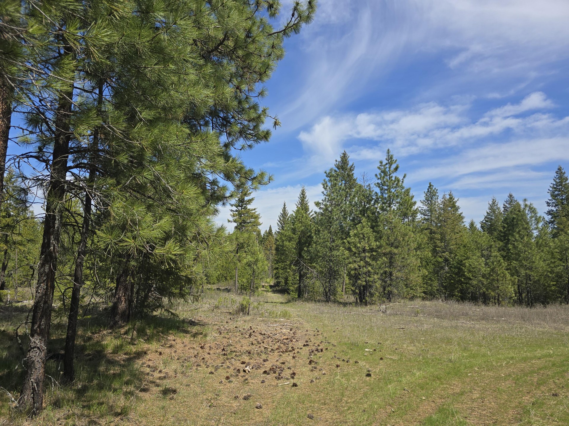 
                        Property photograph at
                        XXX W OREGON RD
                      