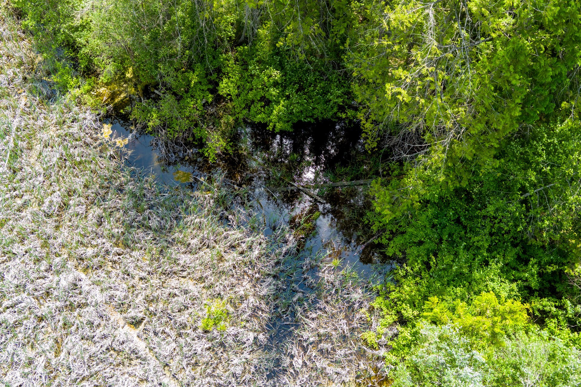 
                        Property photograph at
                        3124 ORIENT CUTOFF RD
                      