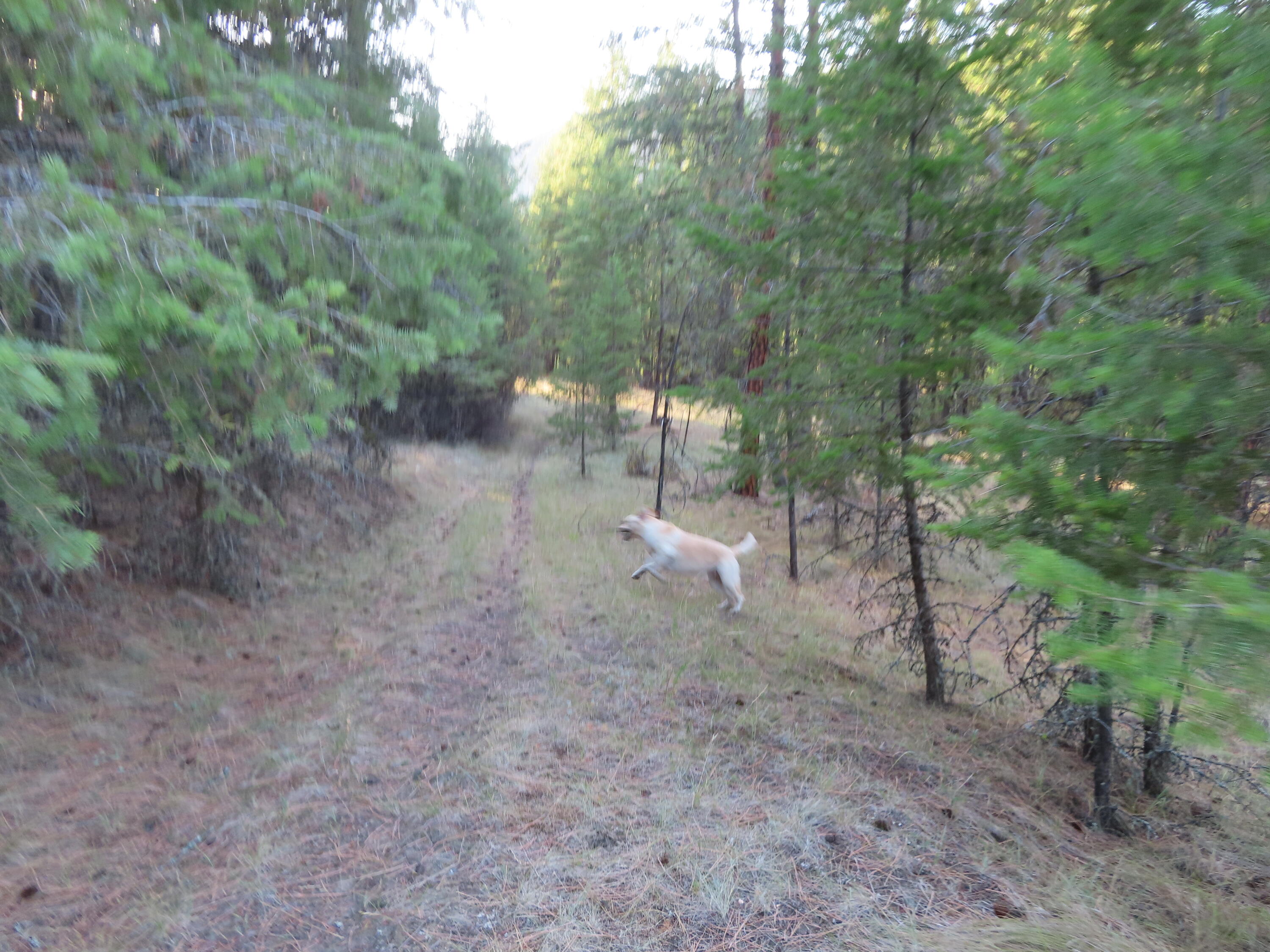 
                        Property photograph at
                        TBD TORODA CREEK RD
                      
