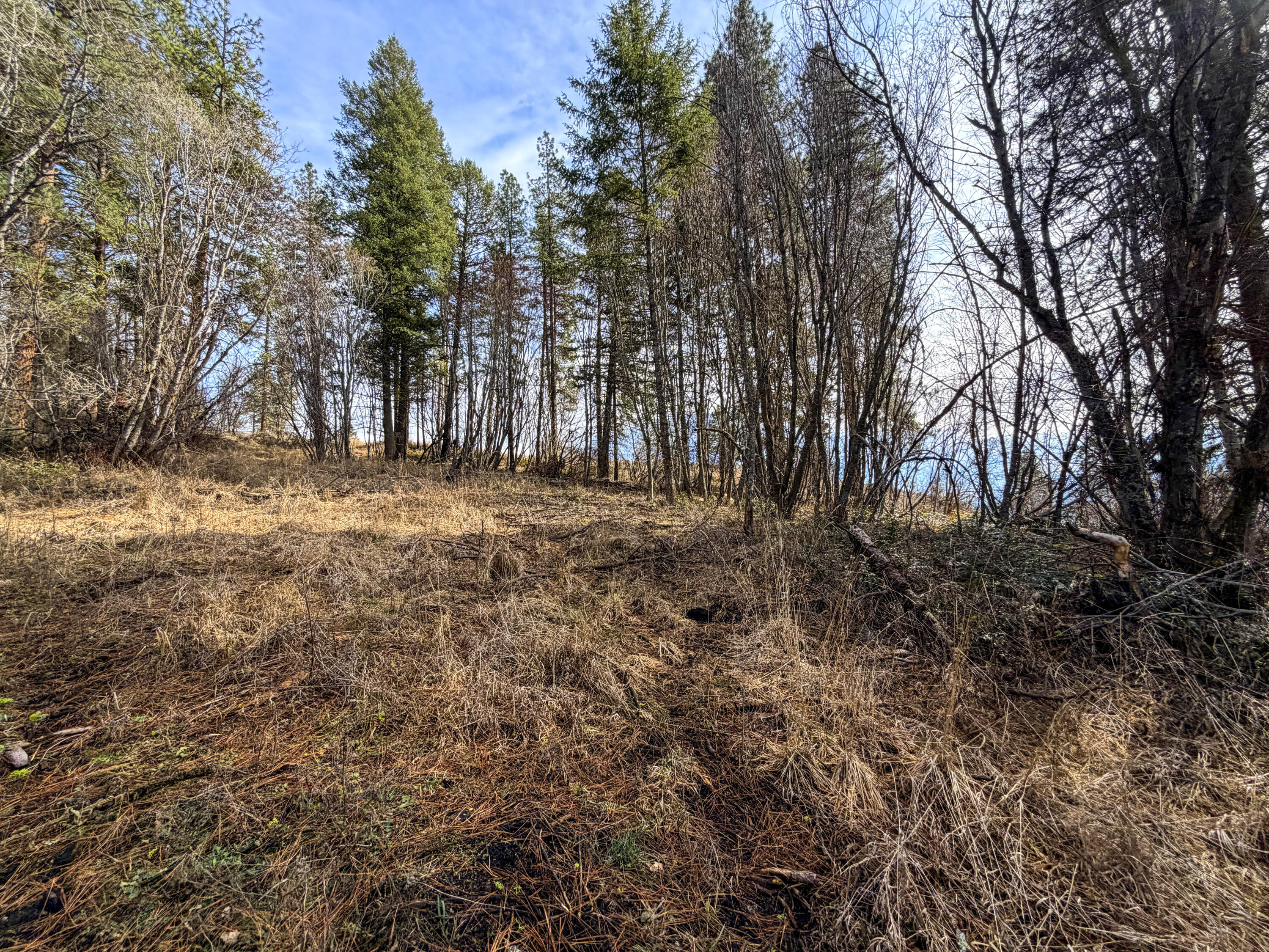 
                        Property photograph at
                        2897 MCNITT RD
                      