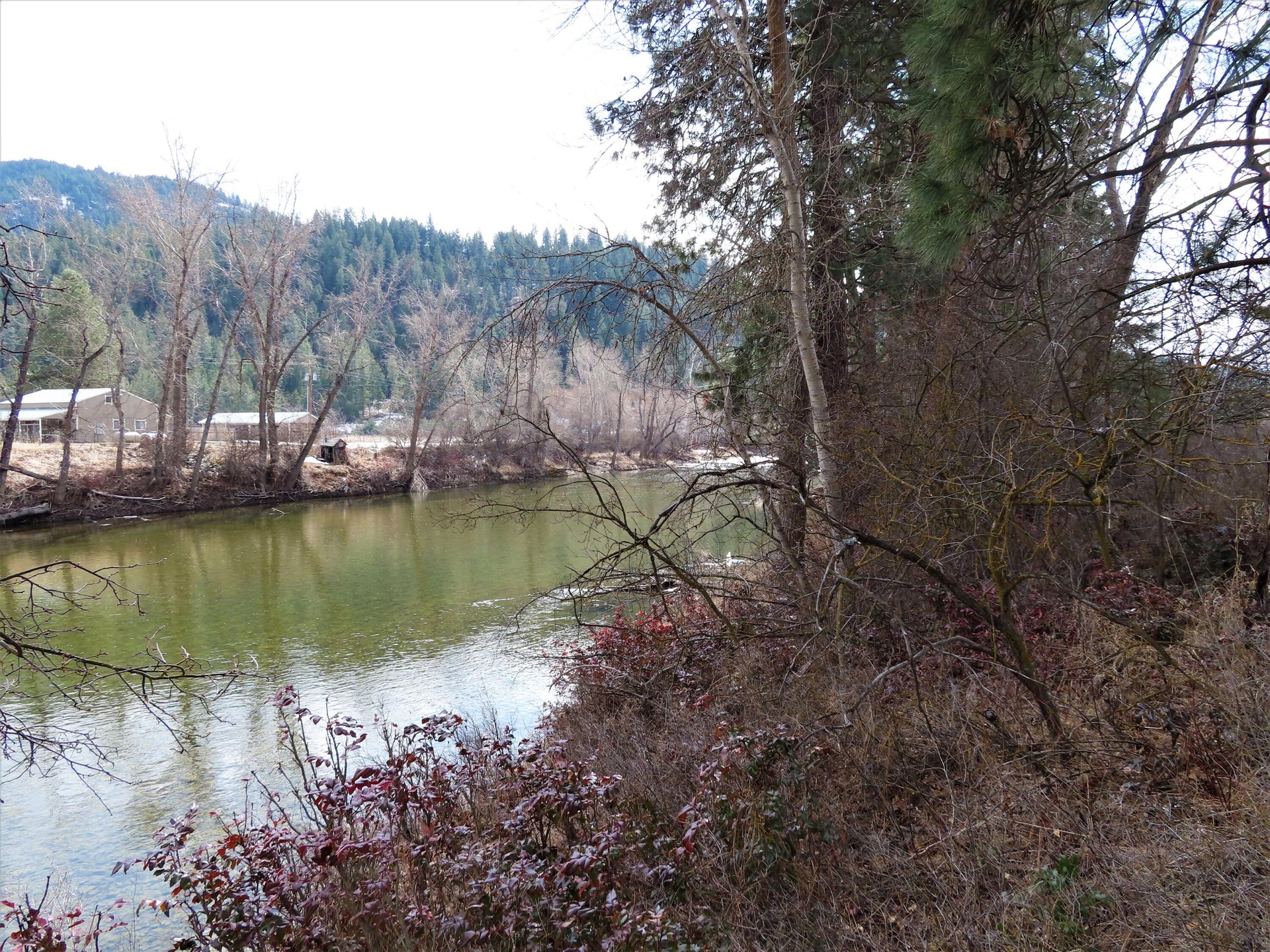 
                        Property photograph at
                        TBD HIGHWAY 21 N
                      