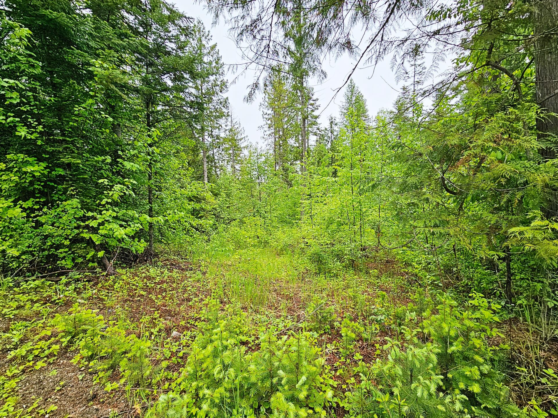 
                        Property photograph at
                        1895 TBD BLUE CREEK ROAD RD
                      