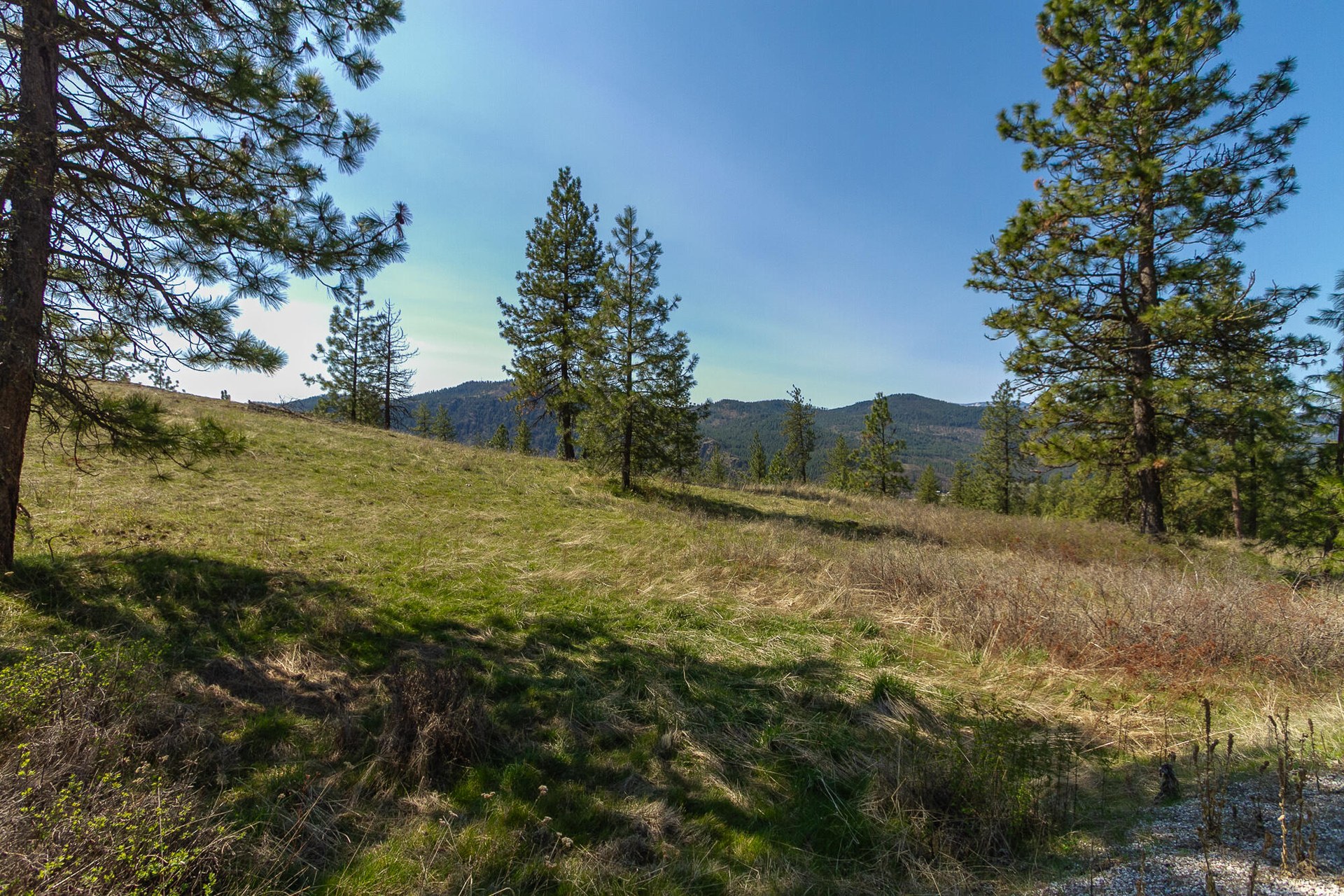 
                        Property photograph at
                        1622 PALMER LOOP
                      