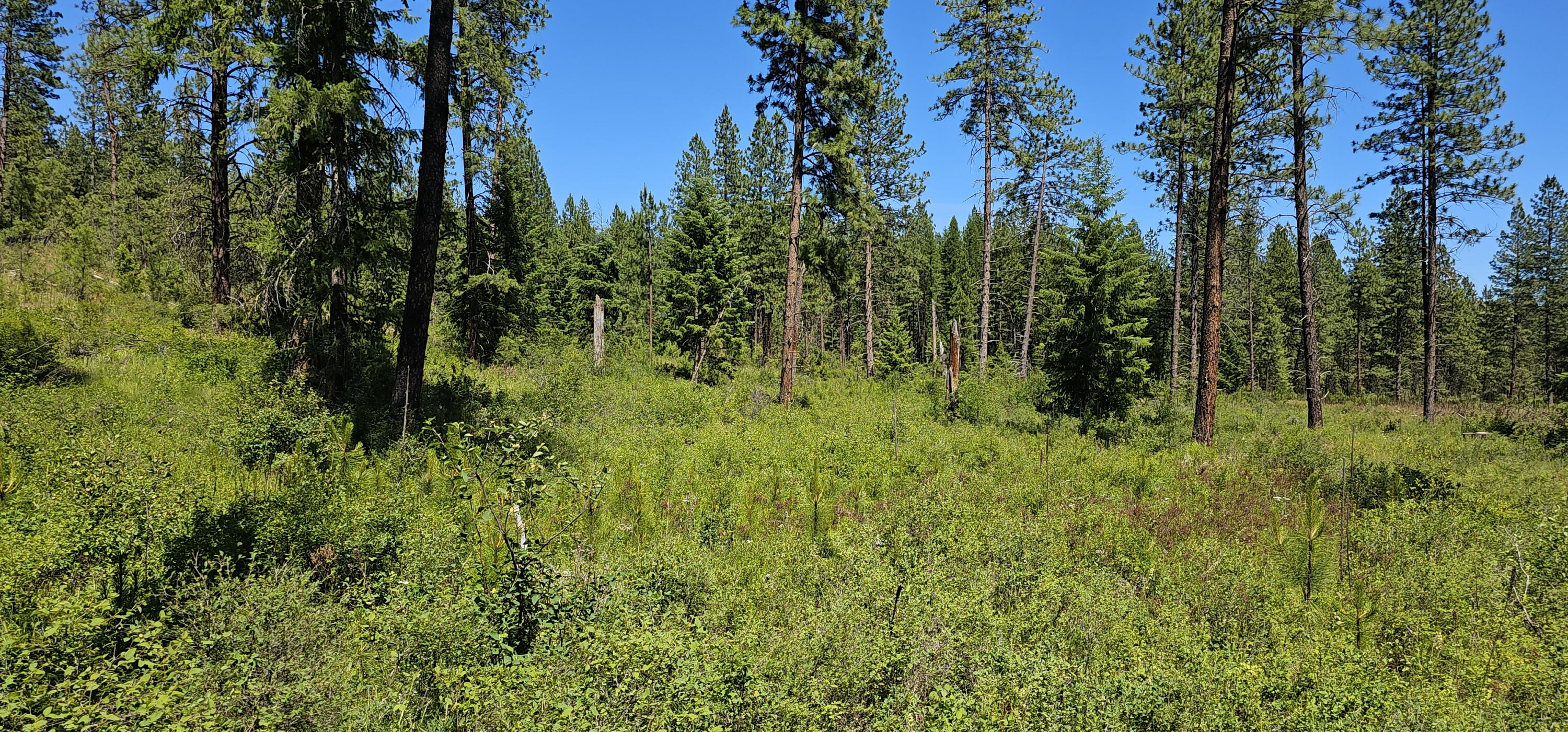
                        Property photograph at
                        20X LYNX CREEK RD
                      