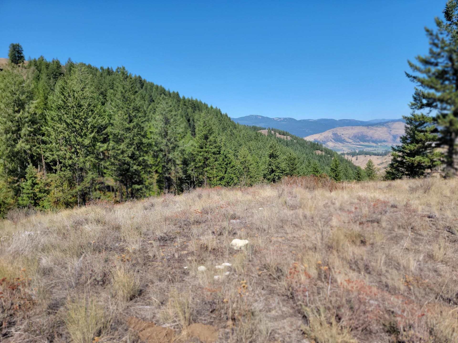 
                        Property photograph at
                        TBD LONE RANCH RD
                      