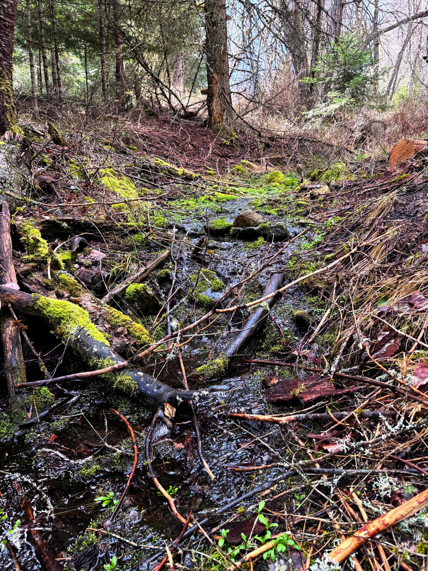 
                        Property photograph at
                        2XXX BLK E ELOIKA LAKE RD
                      