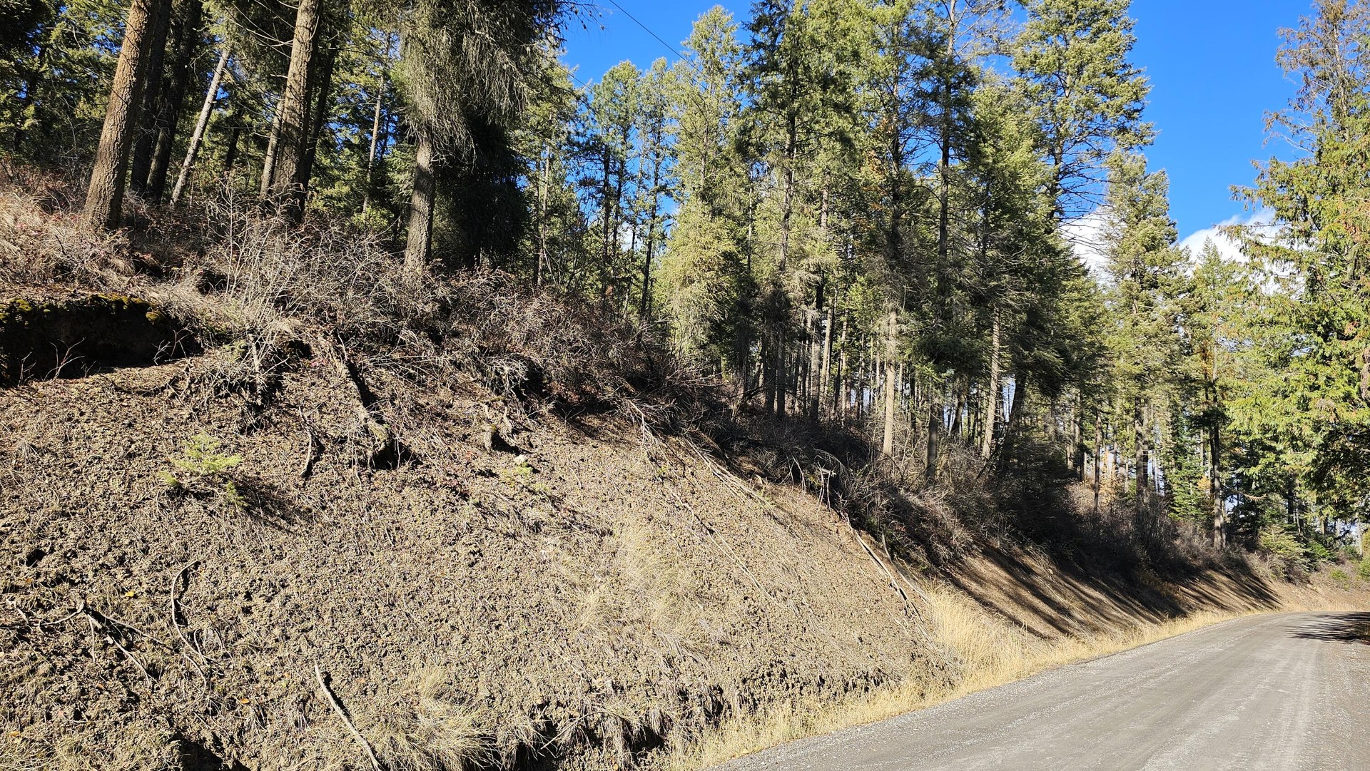 
                        Property photograph at
                        717 B FINLEY GULCH RD
                      