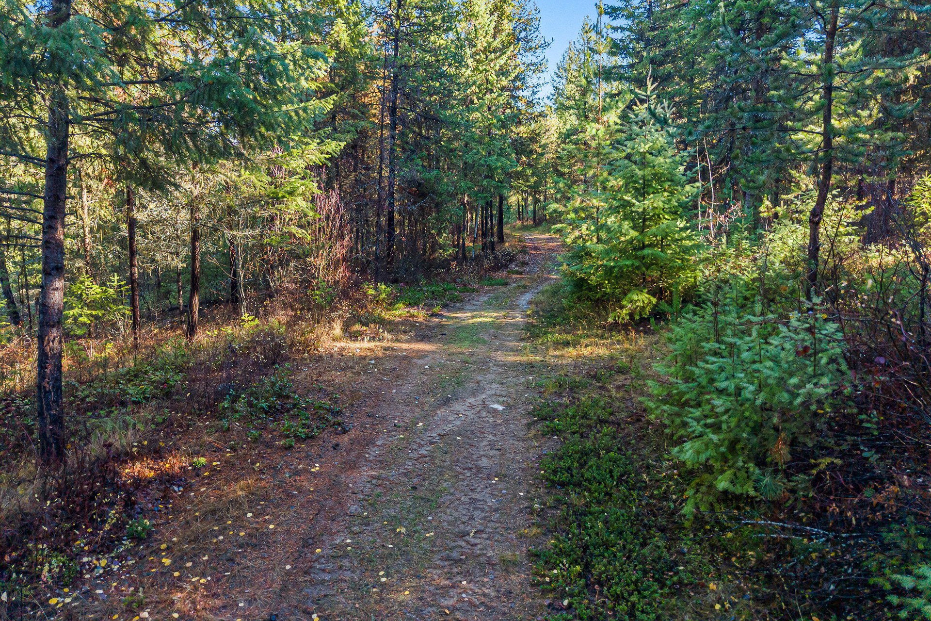 
                        Property photograph at
                        2094 CLUGSTON ONION CREEK RD
                      