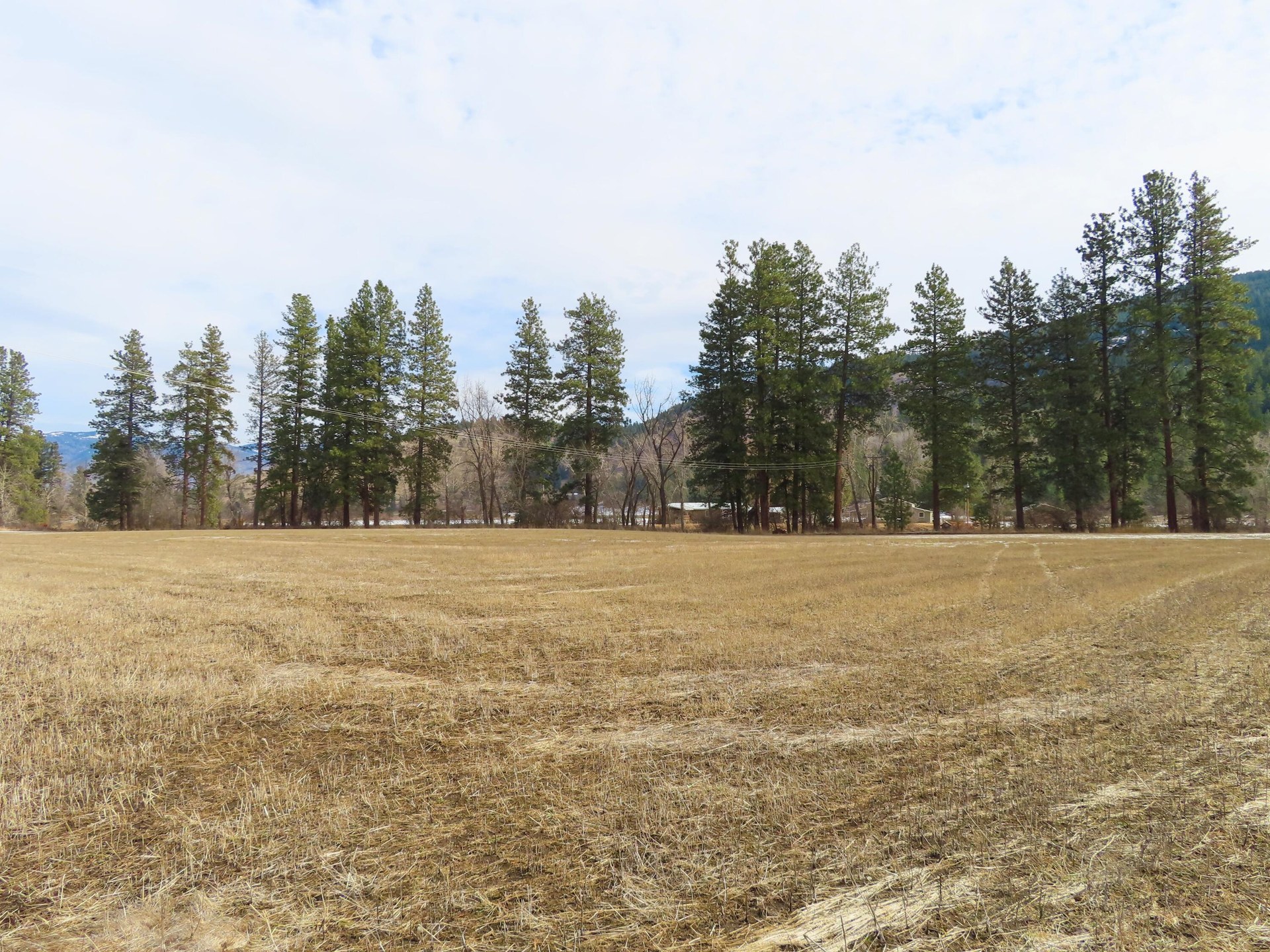 
                        Property photograph at
                        TBD HIGHWAY 21 N
                      