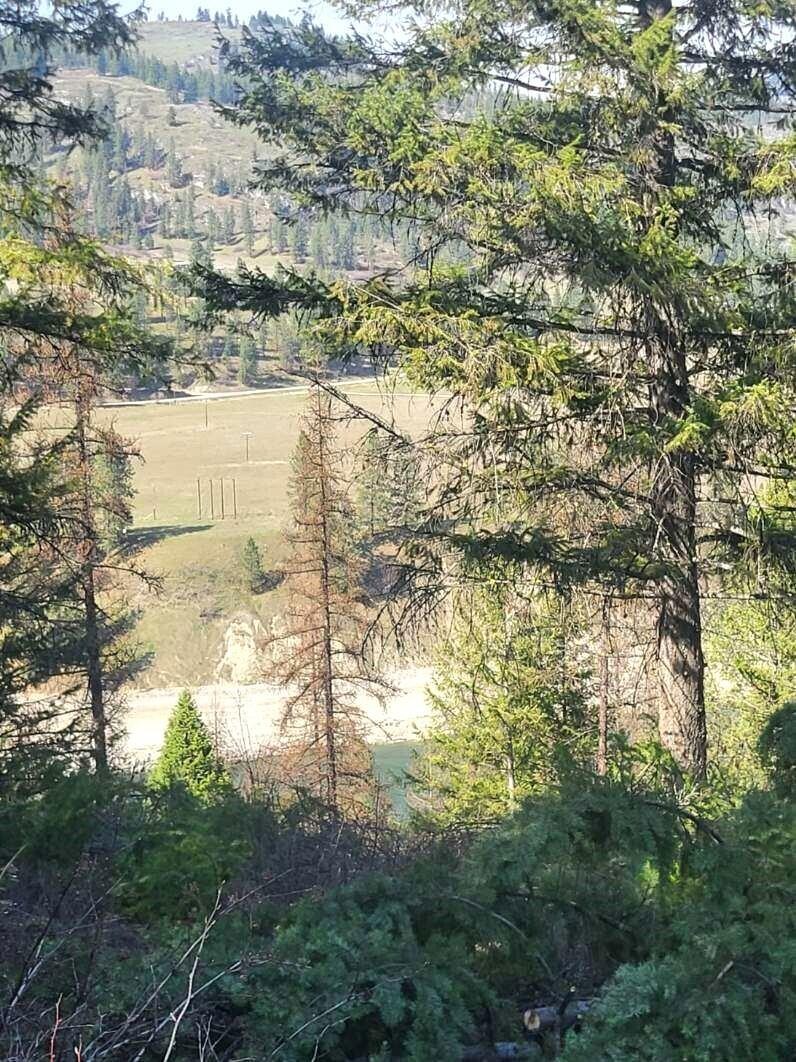 
                        Property photograph at
                        2462X WA-25 HWY
                      