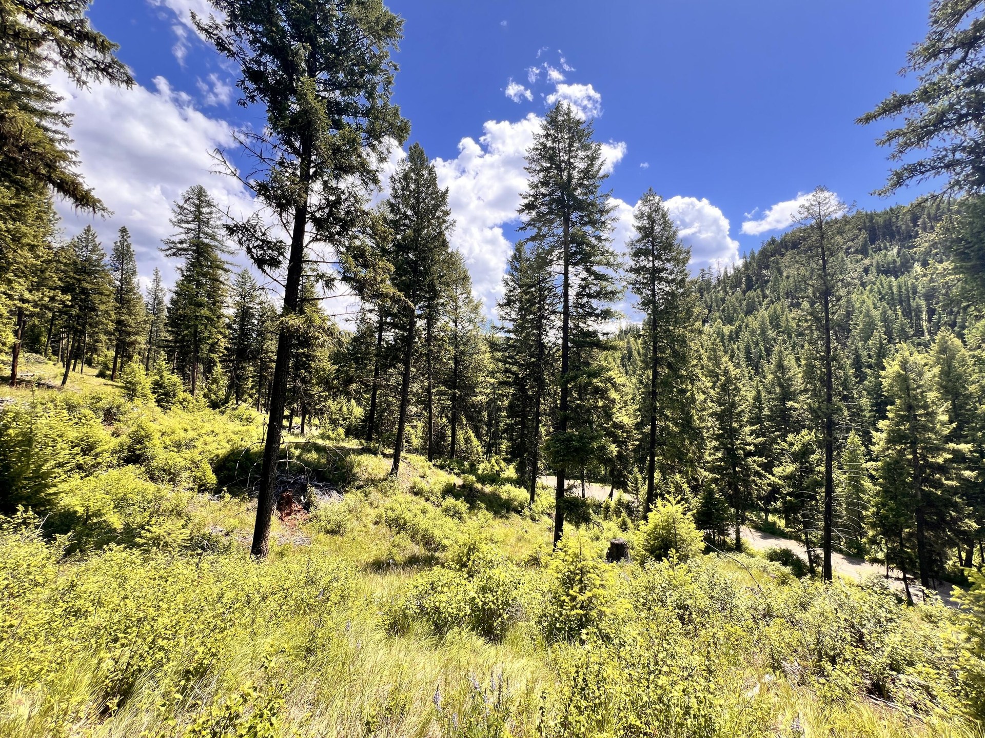 
                        Property photograph at
                        TBD OLD KETTLE FALLS RD
                      