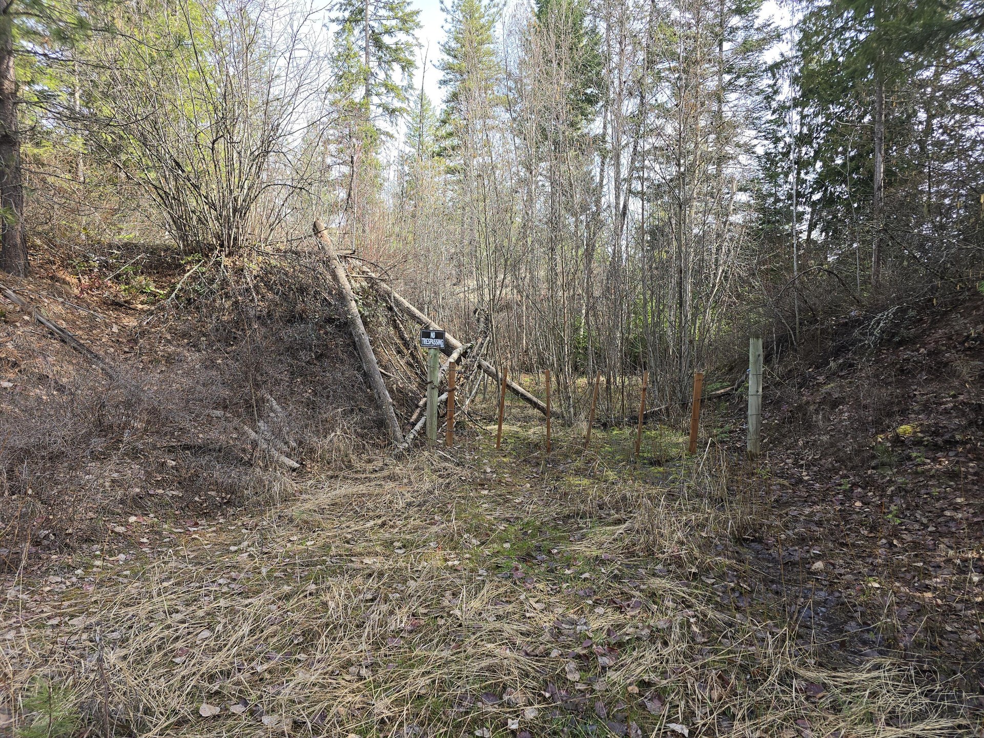 
                        Property photograph at
                        3XX GOLD CREEK RD
                      
