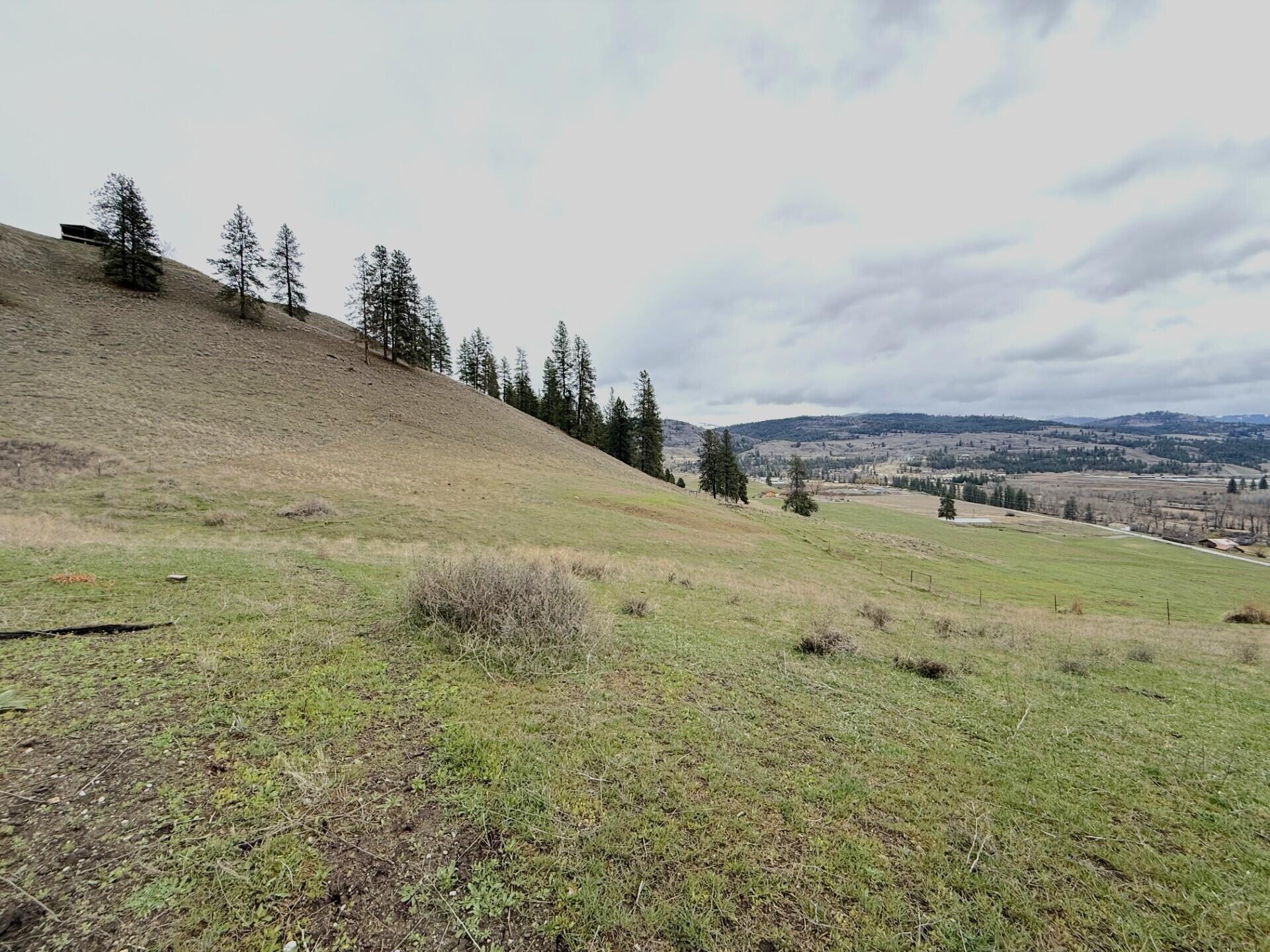 
                        Property photograph at
                        TBD COTTONWOOD CREEK RD
                      