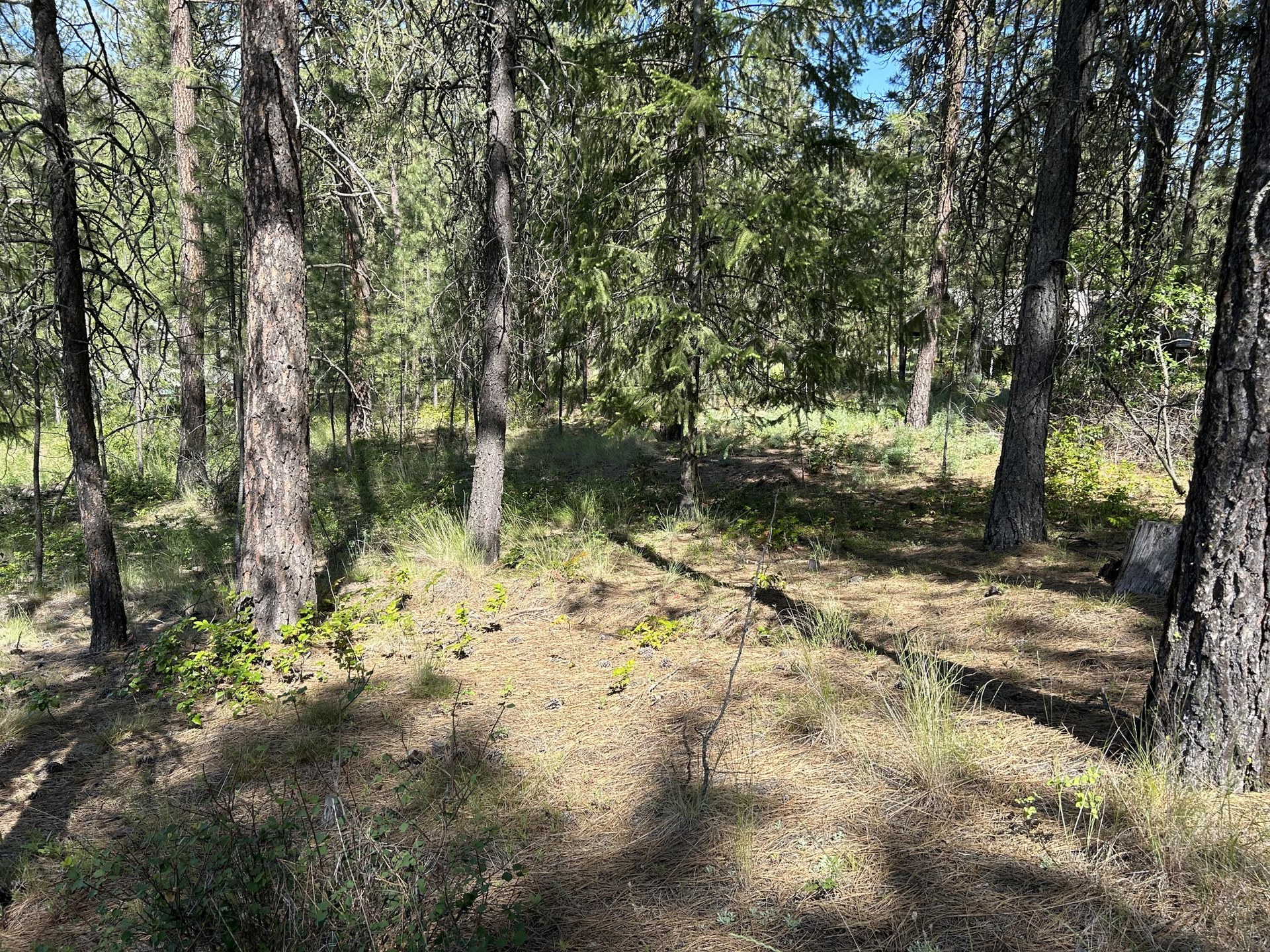 
                        Property photograph at
                        1181- 1179 FUMI CIR
                      
