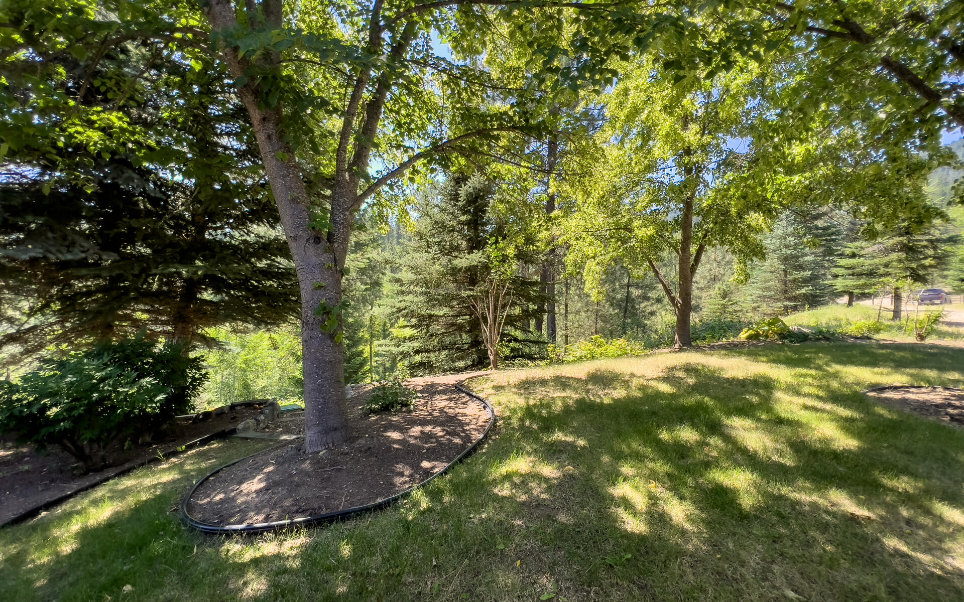 
                        Property photograph at
                        169 BARNABY CREEK SOUTH SIDE RD
                      