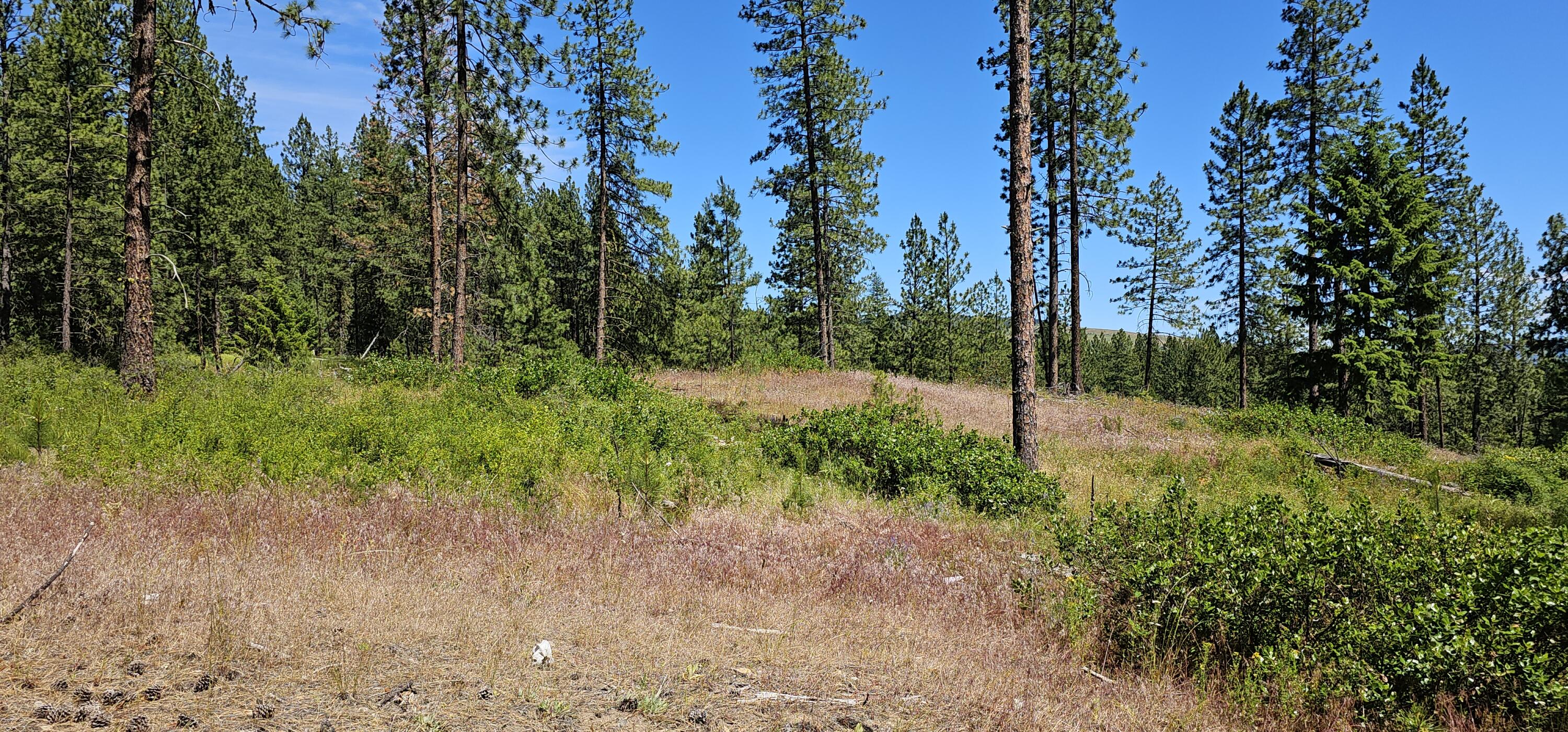 
                        Property photograph at
                        20X LYNX CREEK RD
                      