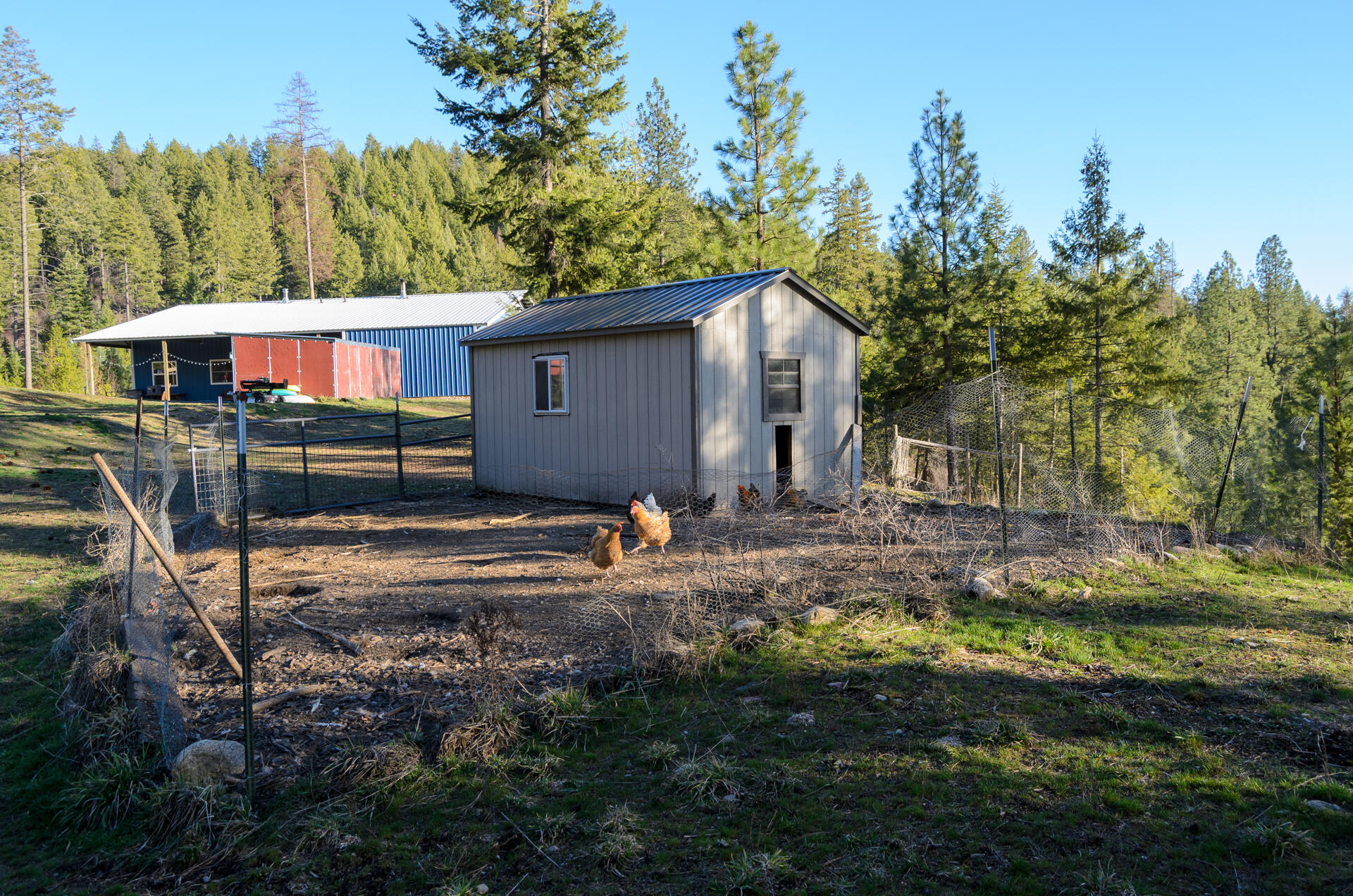 
                        Property photograph at
                        2559 F UNITED COPPER MINE RD
                      