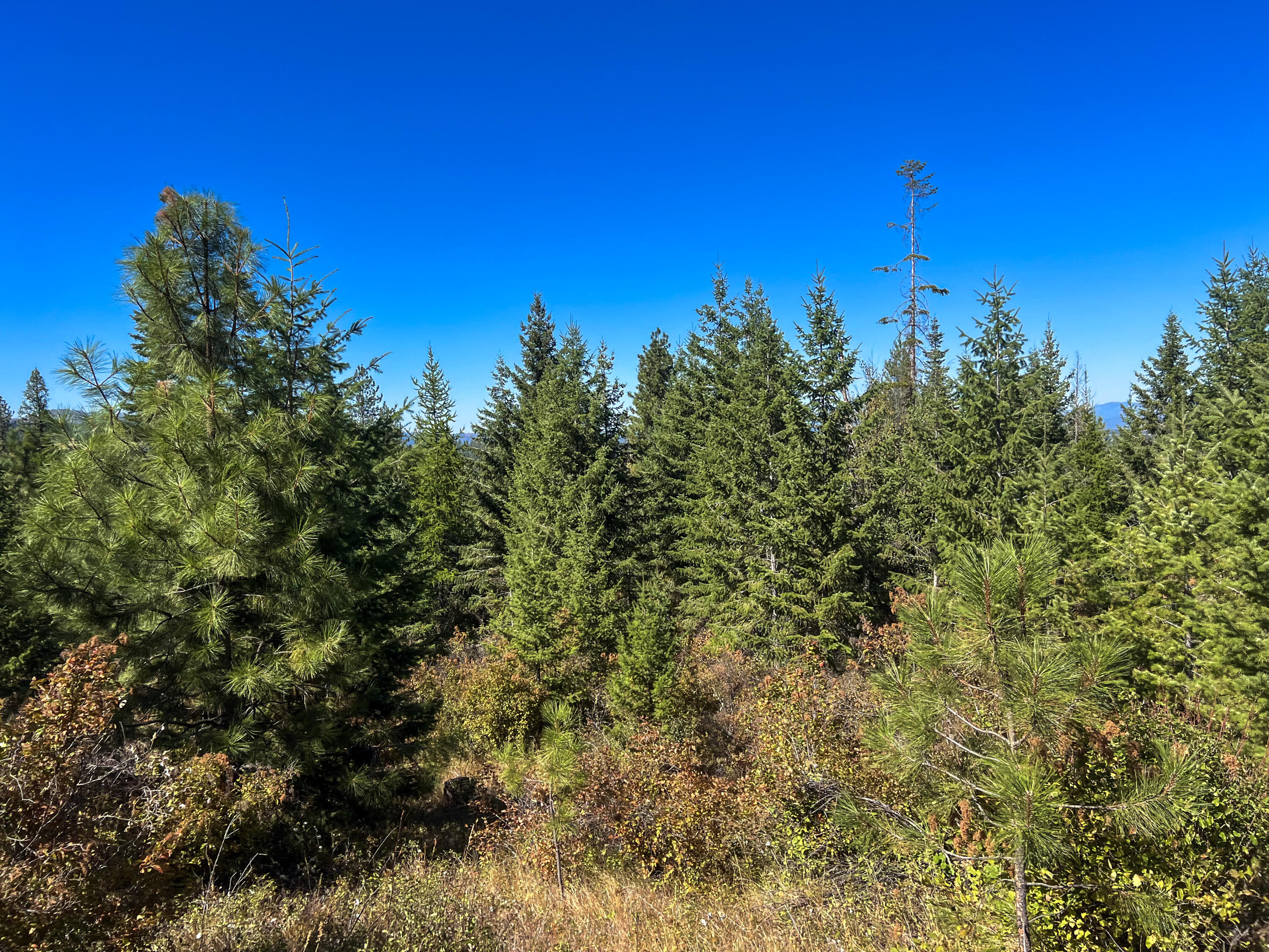 
                        Property photograph at
                        52XX LOT 5 S SWENSON RD
                      
