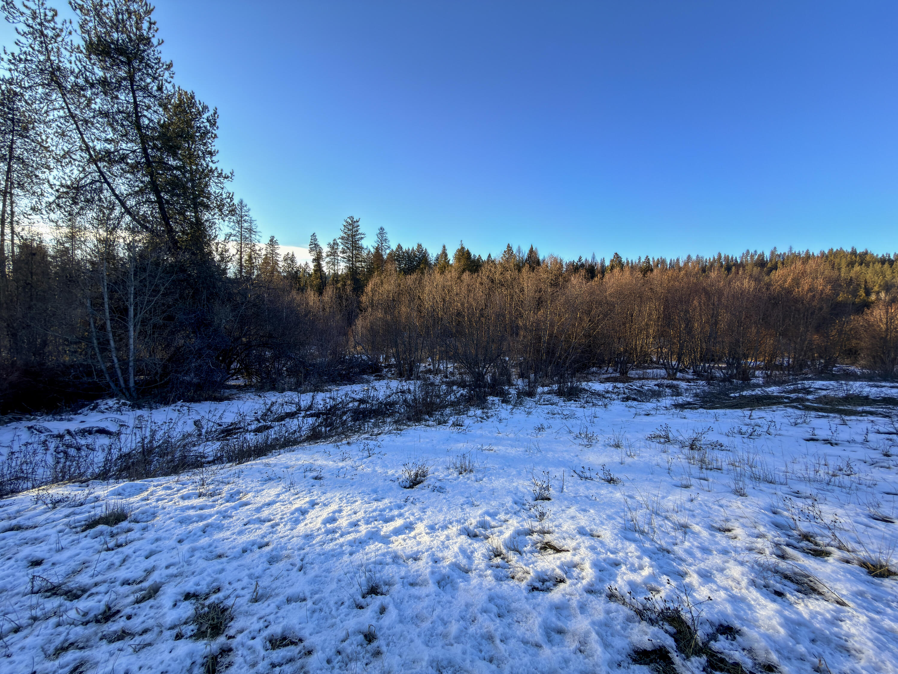 
                        Property photograph at
                        331861 HIGHWAY 2
                      