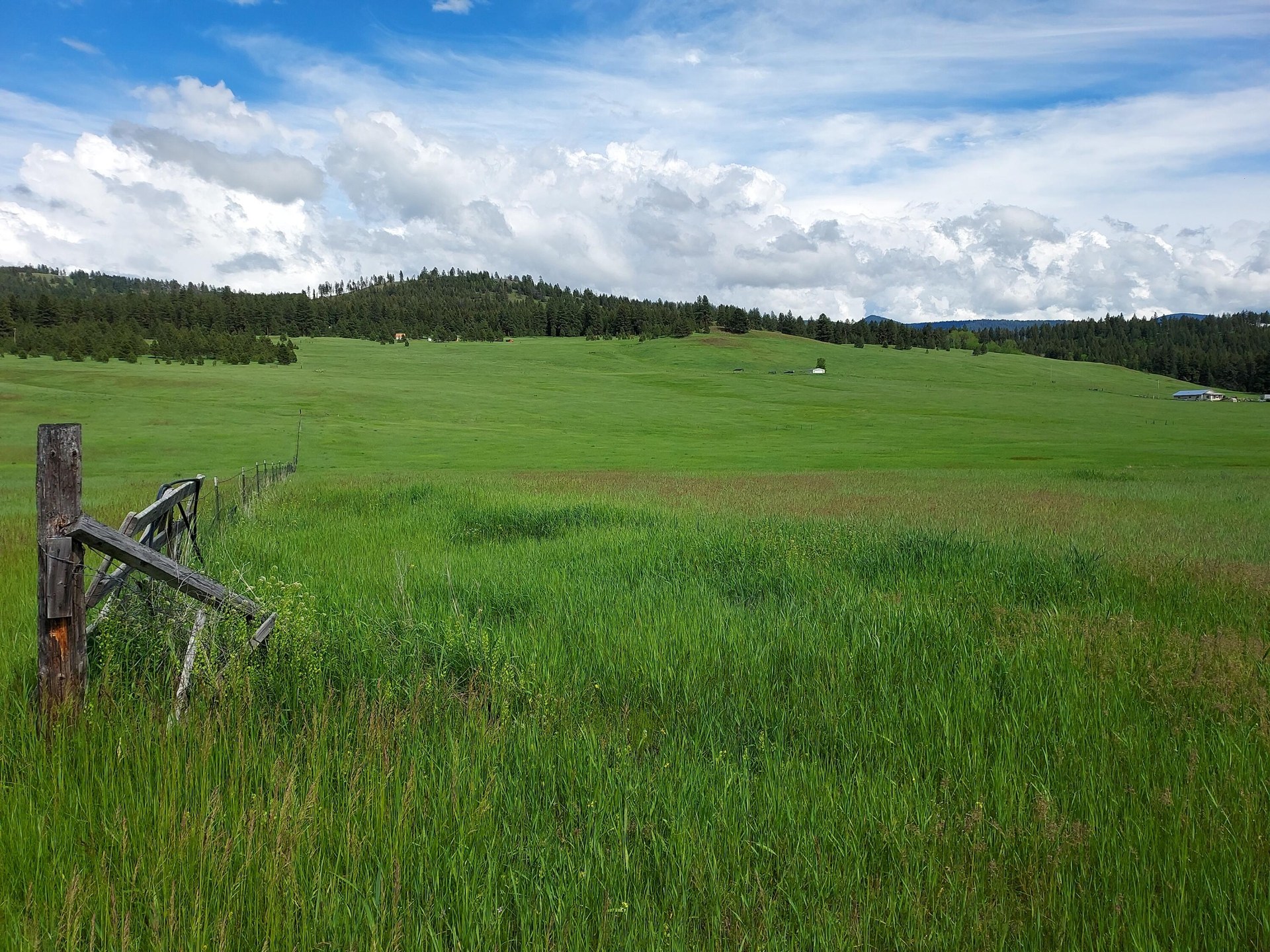 
                        Property photograph at
                        37 OLD RANCH HOUSE ROAD  (LOT 1 )
                      
