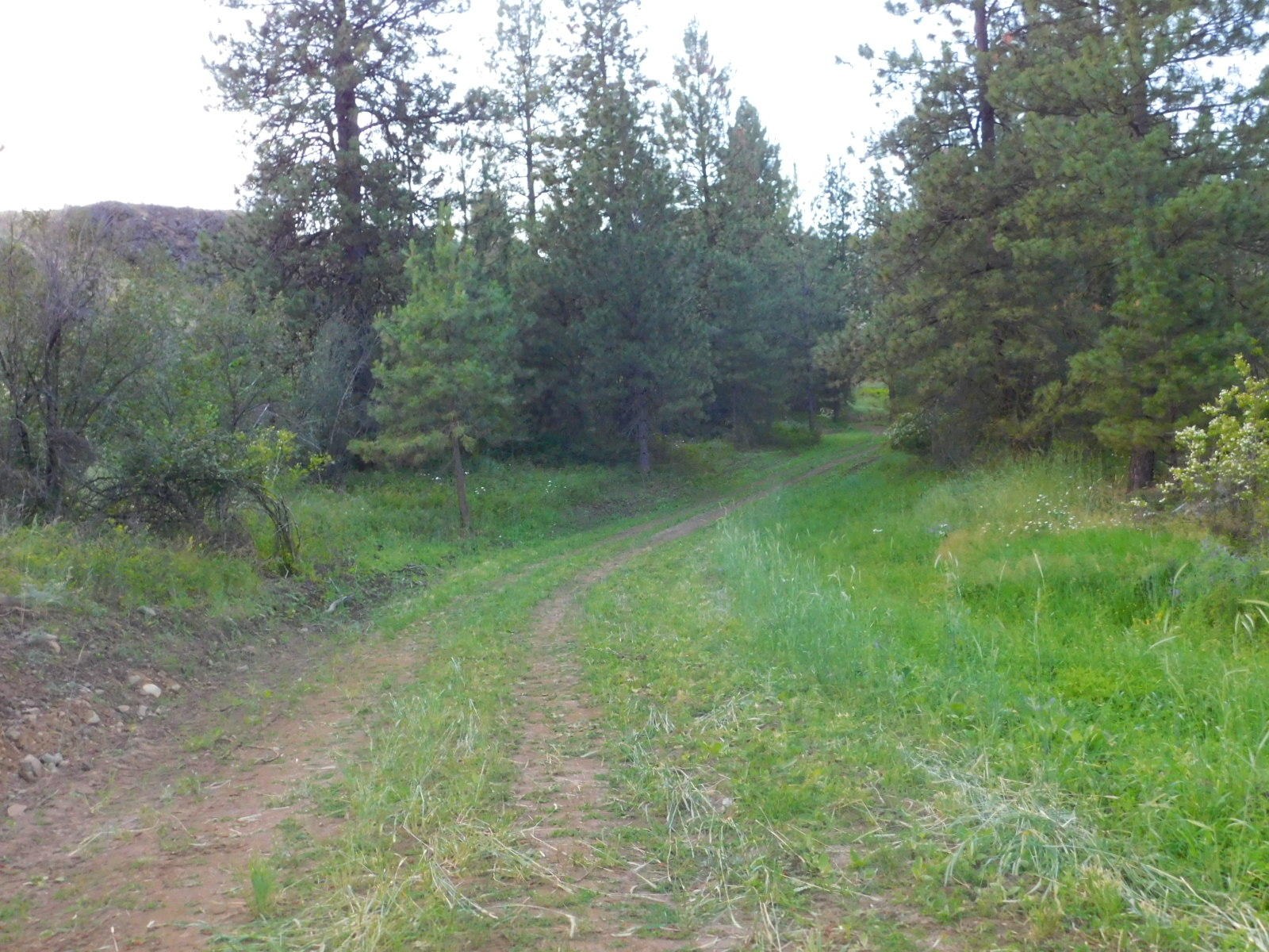 
                        Property photograph at
                        TBD SPIRIT RIDGE WAY
                      