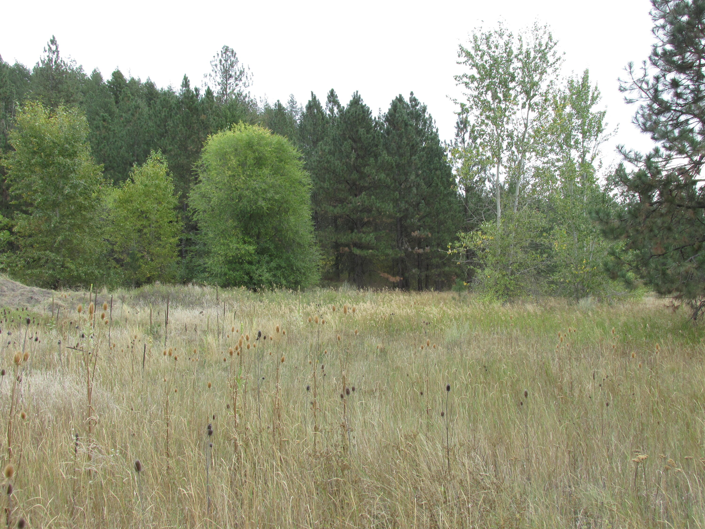 
                        Property photograph at
                        1475 US-395
                      