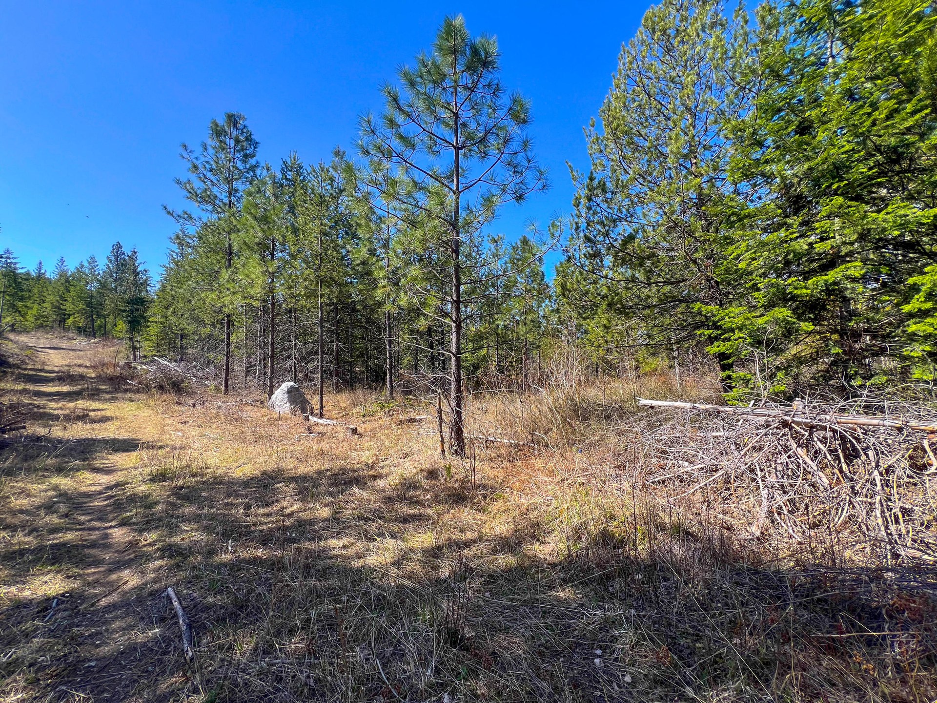 
                        Property photograph at
                        26XX FLOWERY TRAIL RD
                      