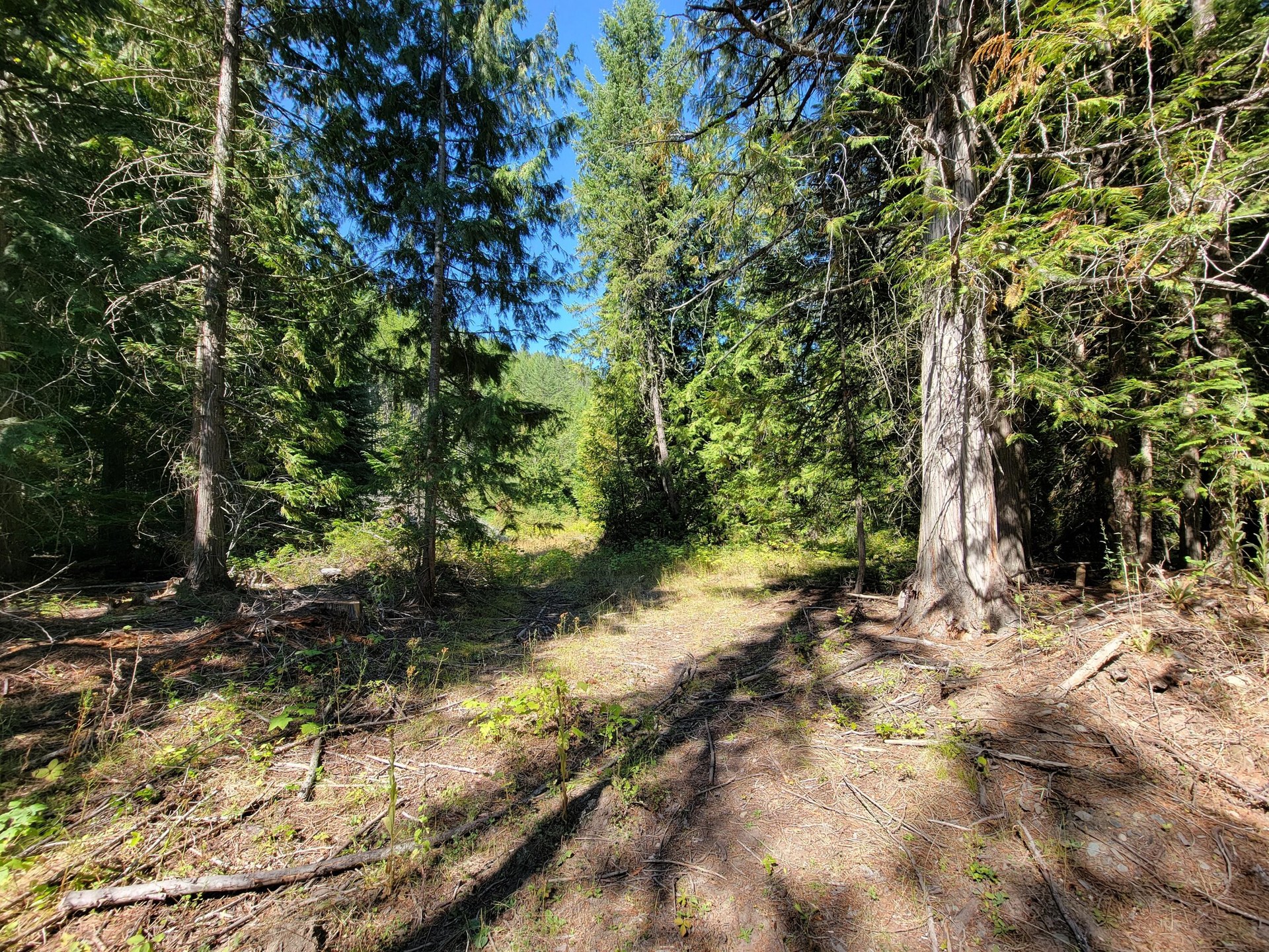 
                        Property photograph at
                        TBD LONE RANCH RD
                      
