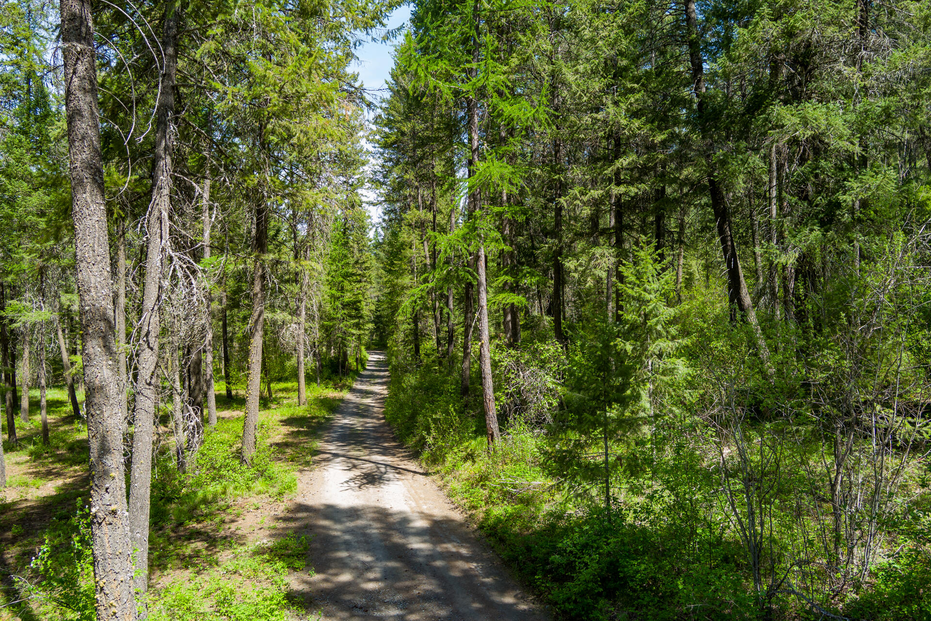 
                        Property photograph at
                        2559 UNITED COPPER MINE RD
                      