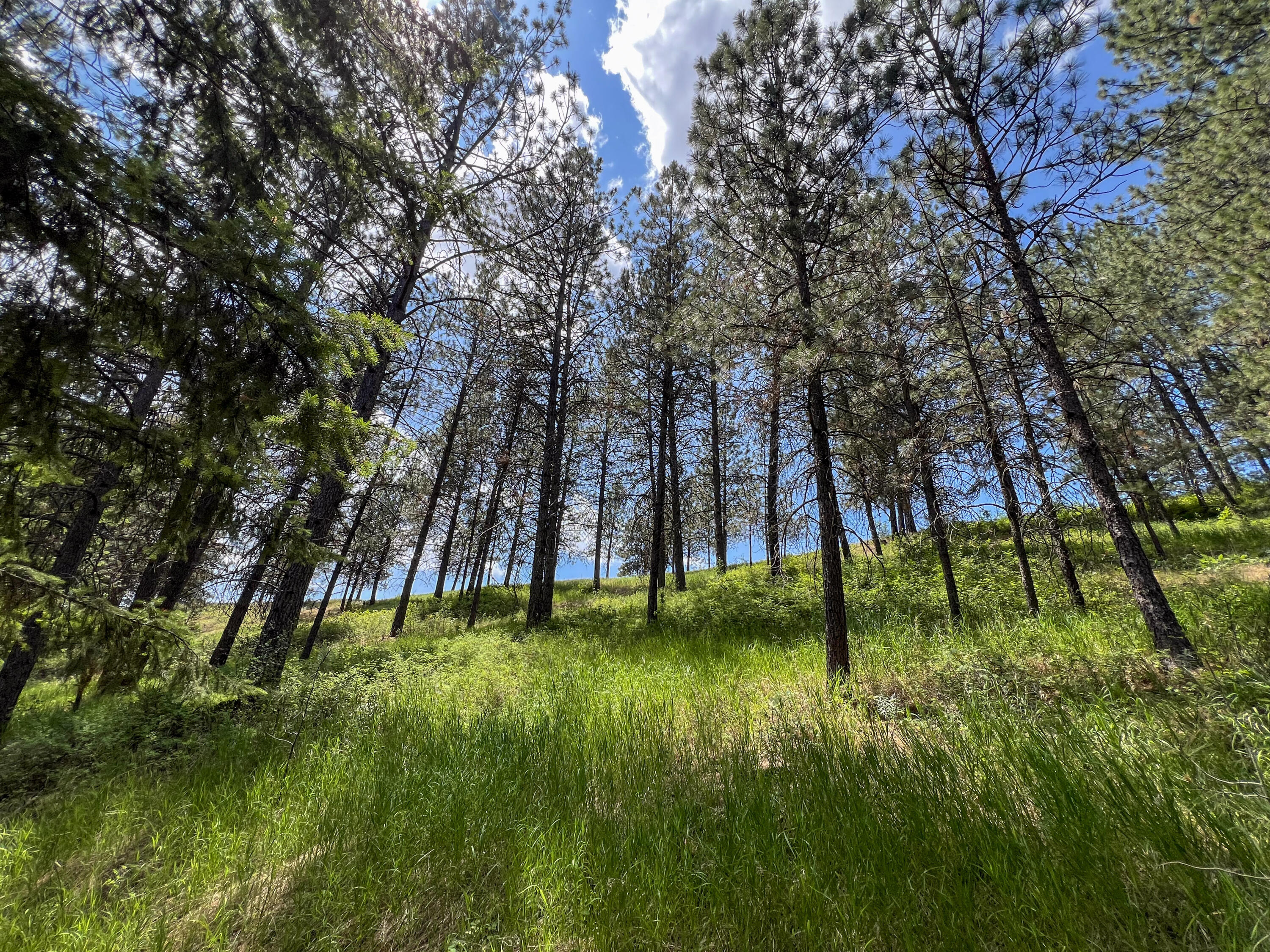 
                        Property photograph at
                        598 N HWY 395
                      