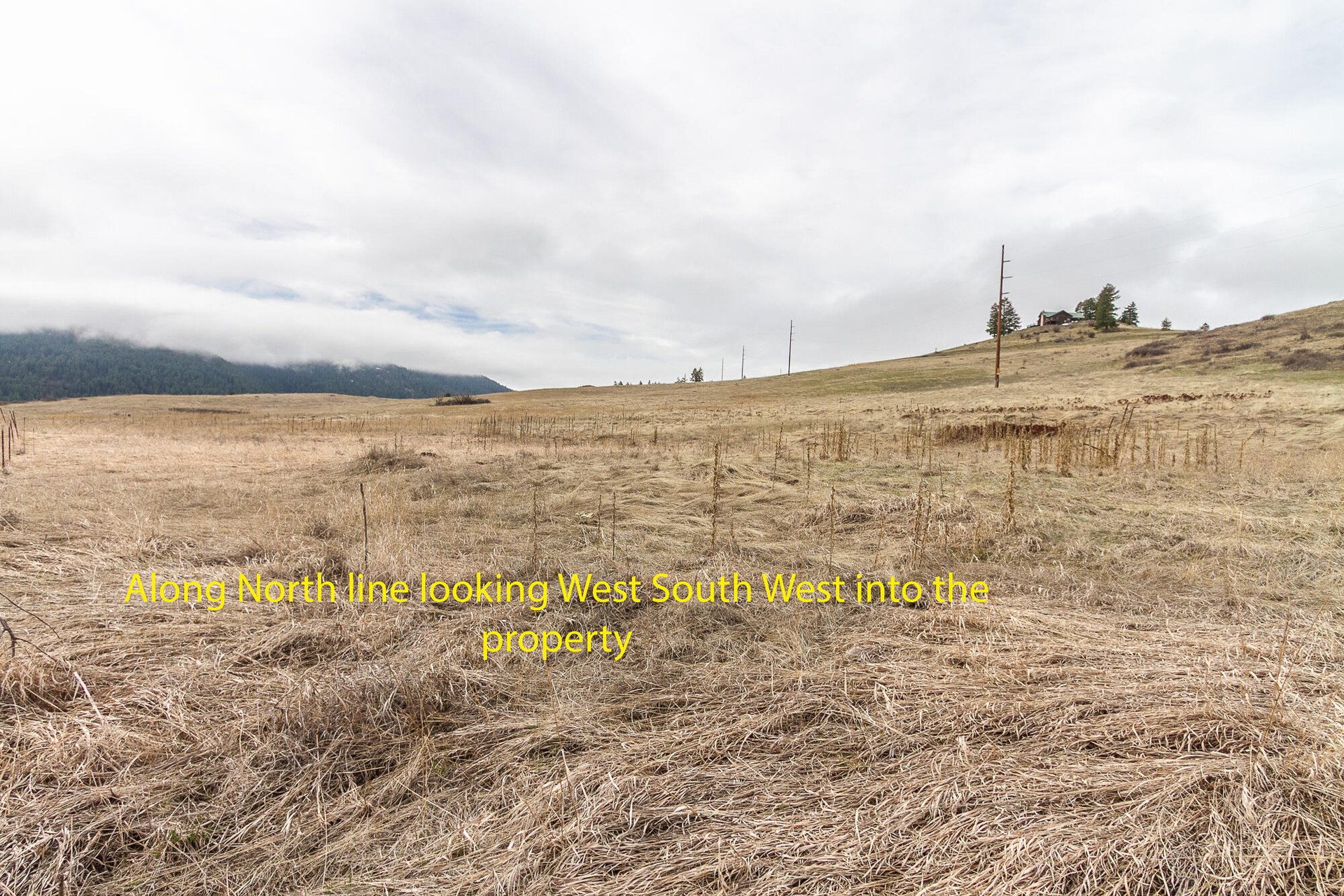 
                        Property photograph at
                        3000 BLK ADDY GIFFORD RD
                      