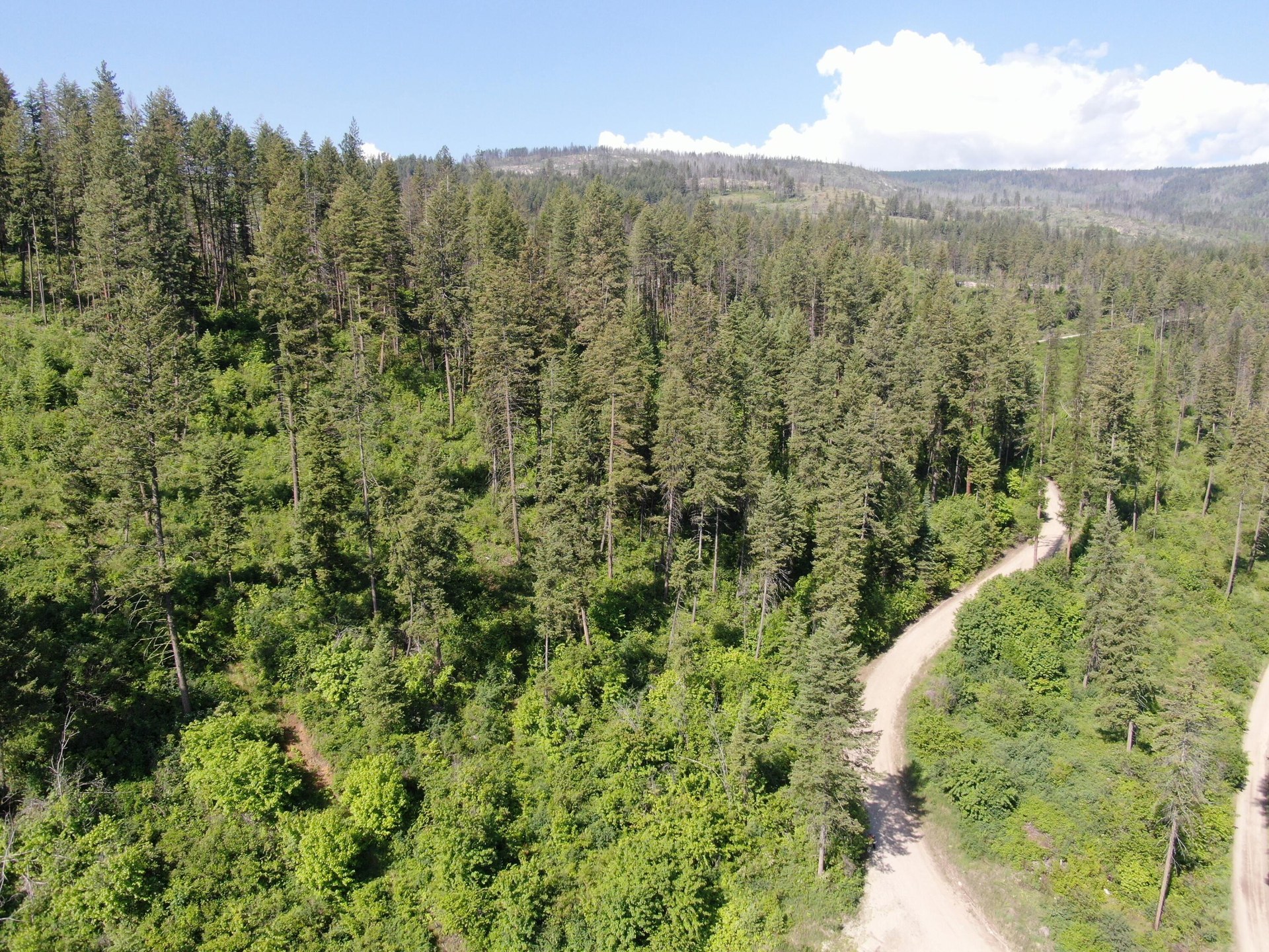 
                        Property photograph at
                        LOT 4 MATSEN CREEK RD
                      
