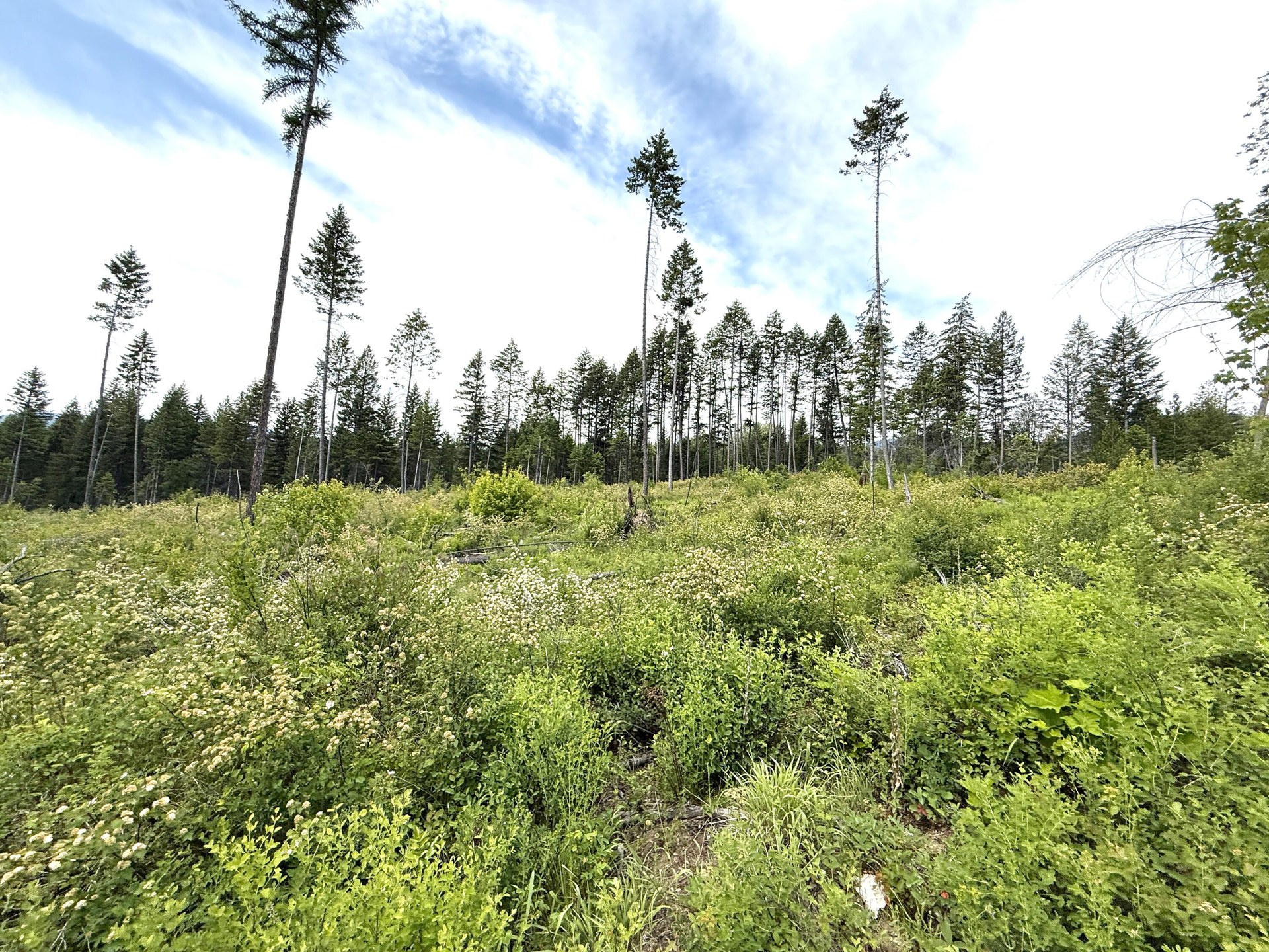 
                        Property photograph at
                        TBD ROCKABYE LN
                      
