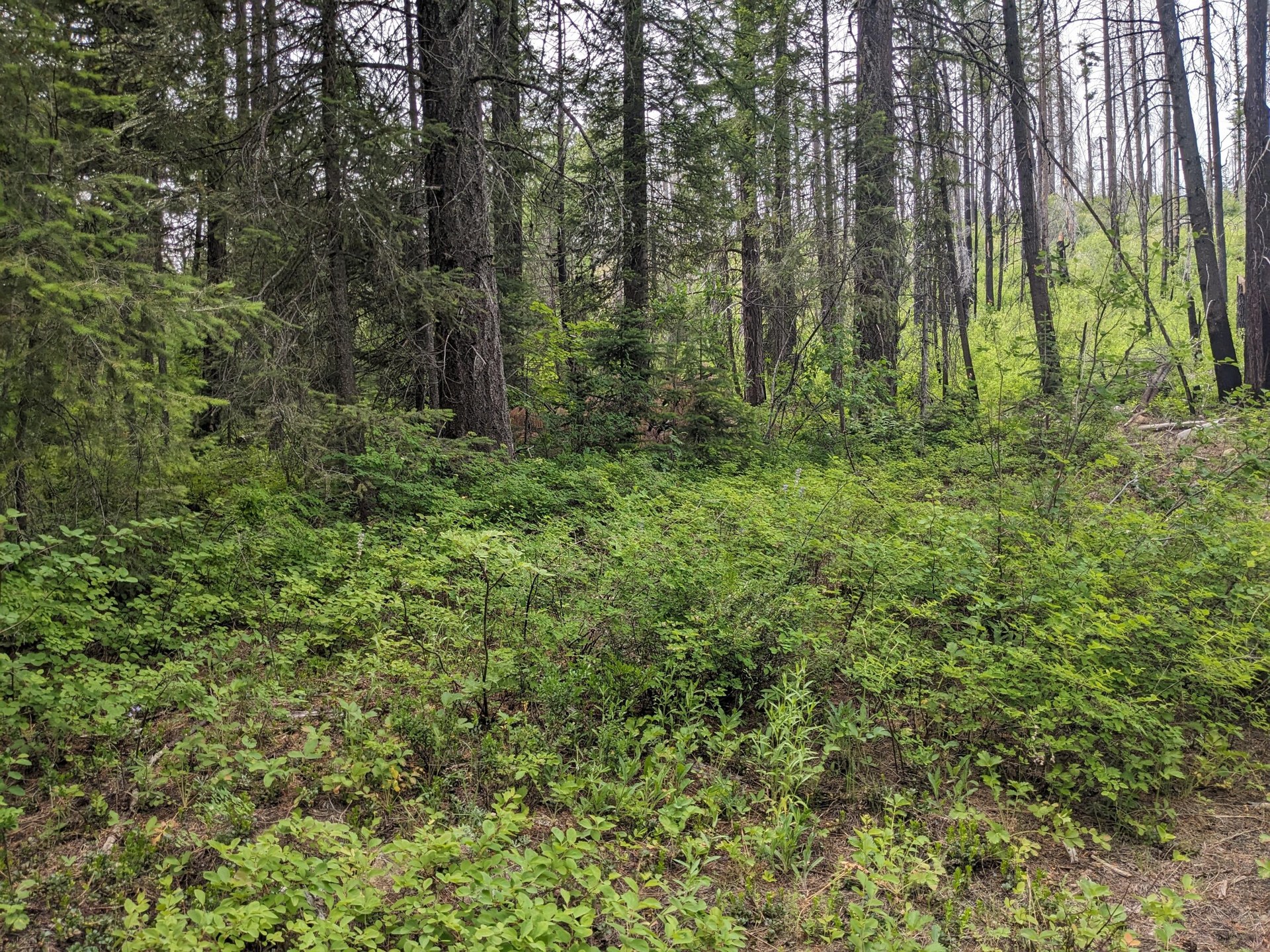 
                        Property photograph at
                        TBD BIA RD. 56
                      