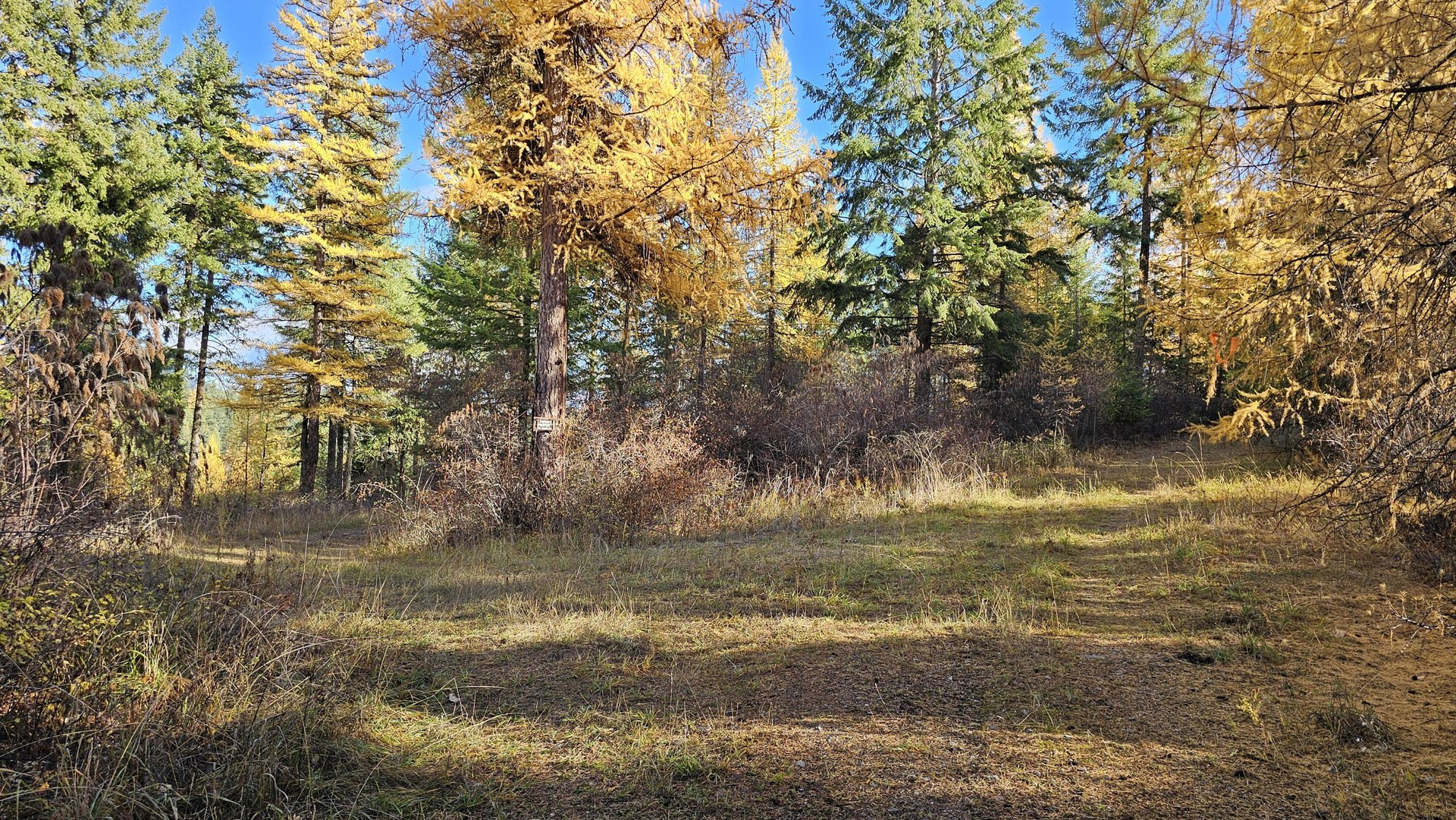
                        Property photograph at
                        700 DRY GULCH RD
                      