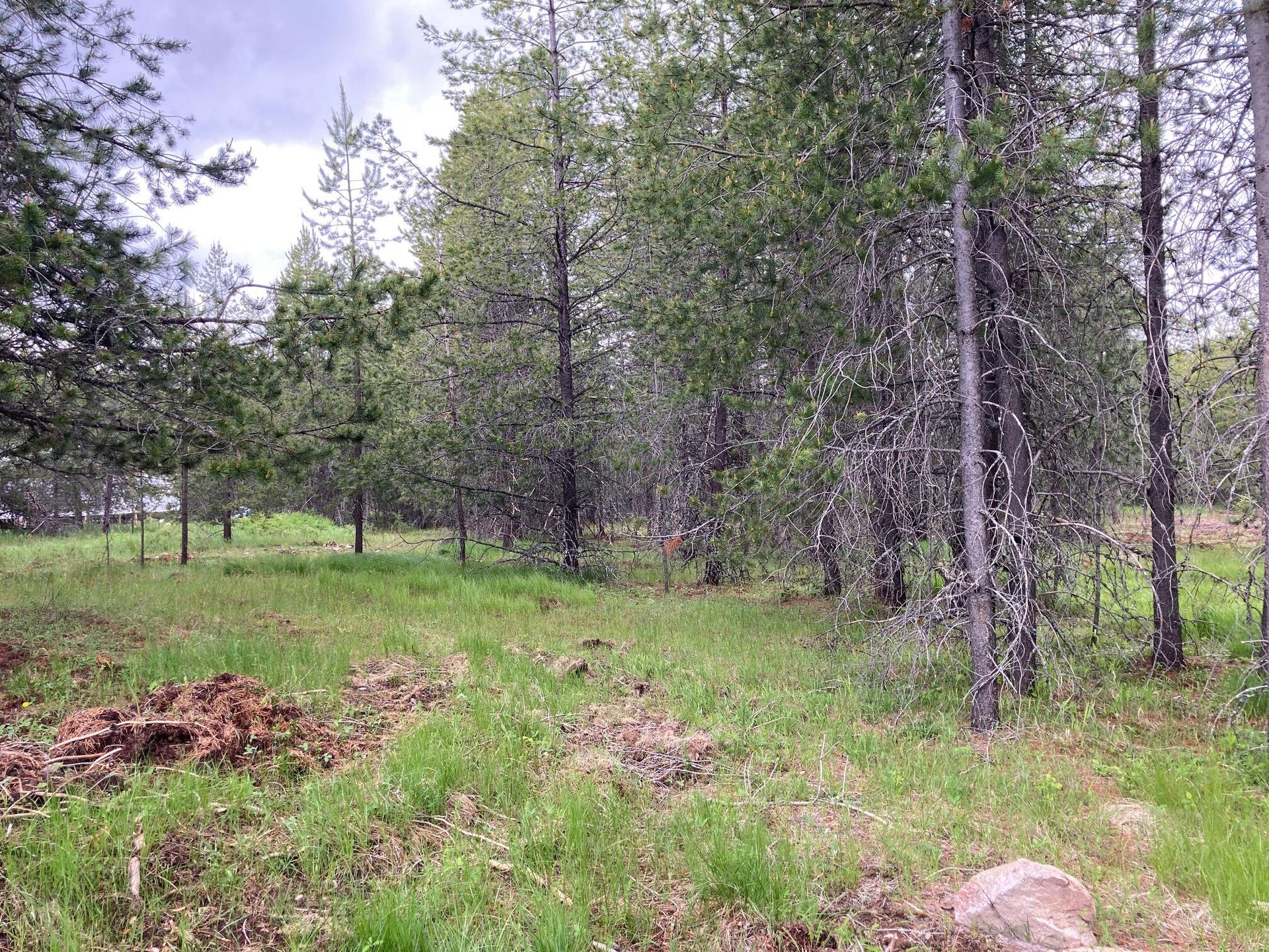 
                        Property photograph at
                        1496 E HWY 20 XX
                      