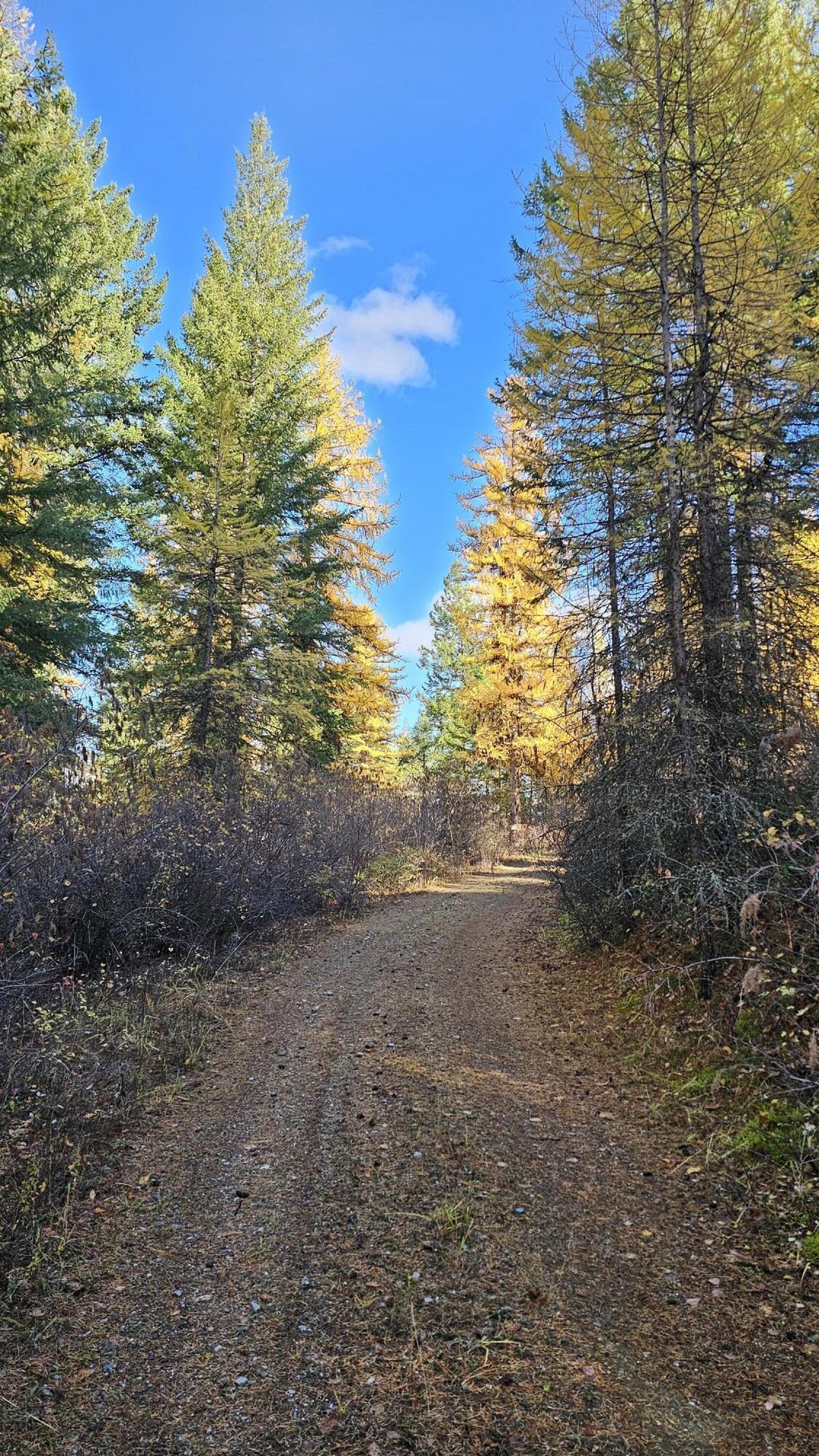 
                        Property photograph at
                        700 DRY GULCH RD
                      