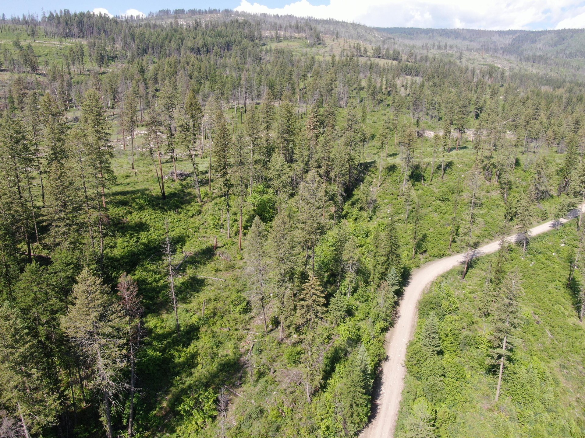 
                        Property photograph at
                        LOT 4 MATSEN CREEK RD
                      
