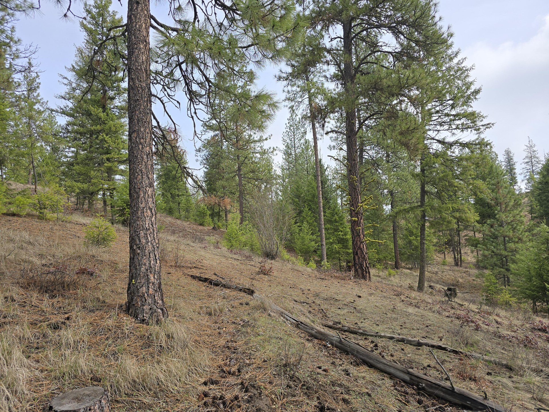 
                        Property photograph at
                        3XX GOLD CREEK RD
                      