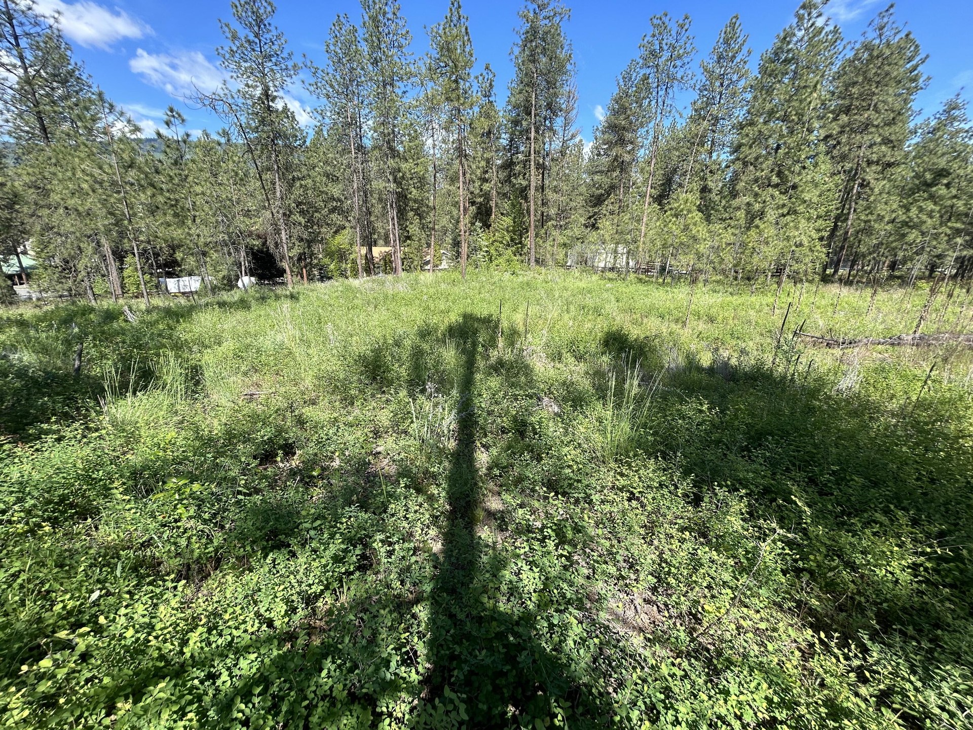 
                        Property photograph at
                        1181- 1179 FUMI CIR
                      