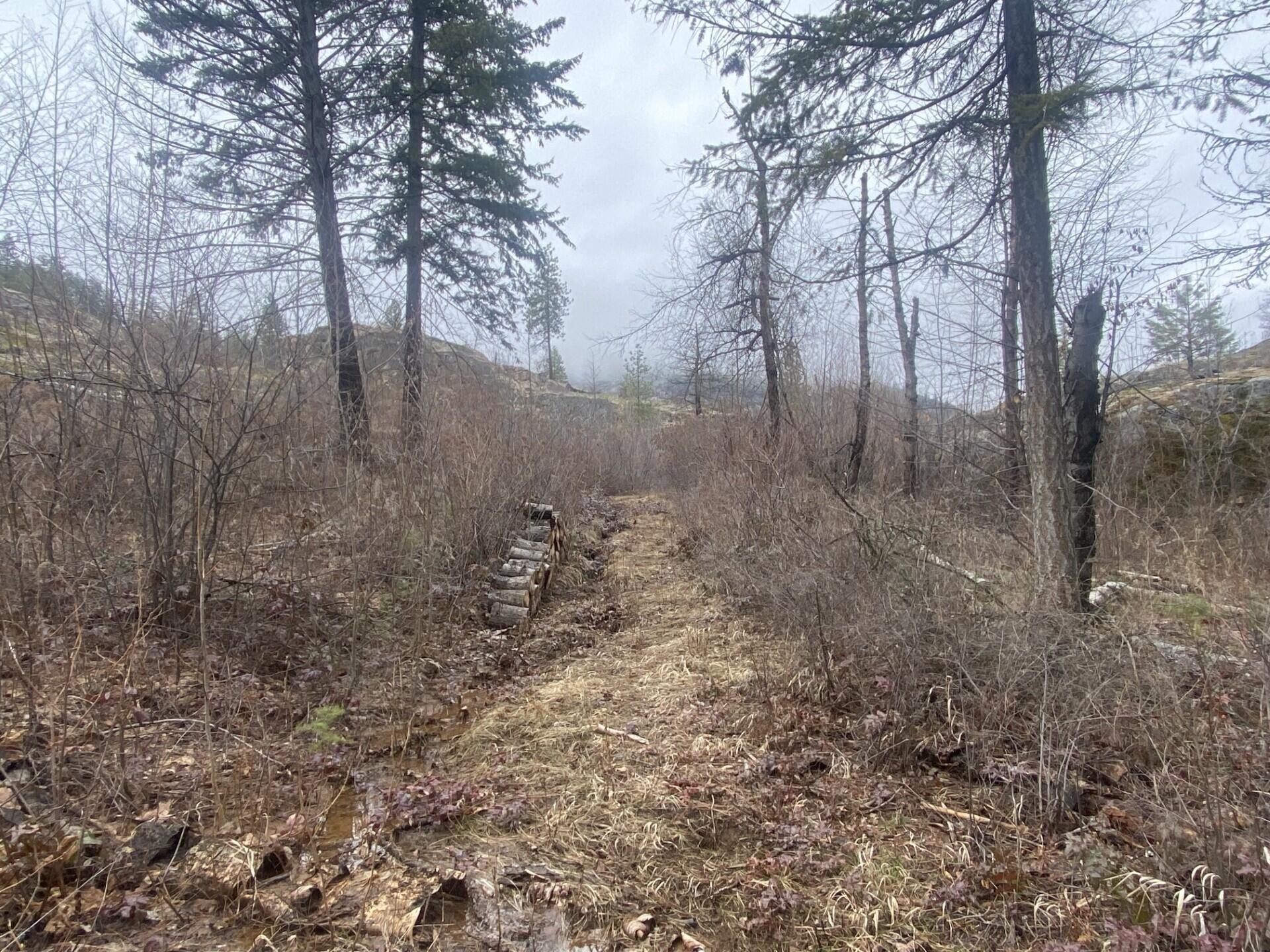
                        Property photograph at
                        TRACT 2 COWBOYS AND ANGELS AVE
                      