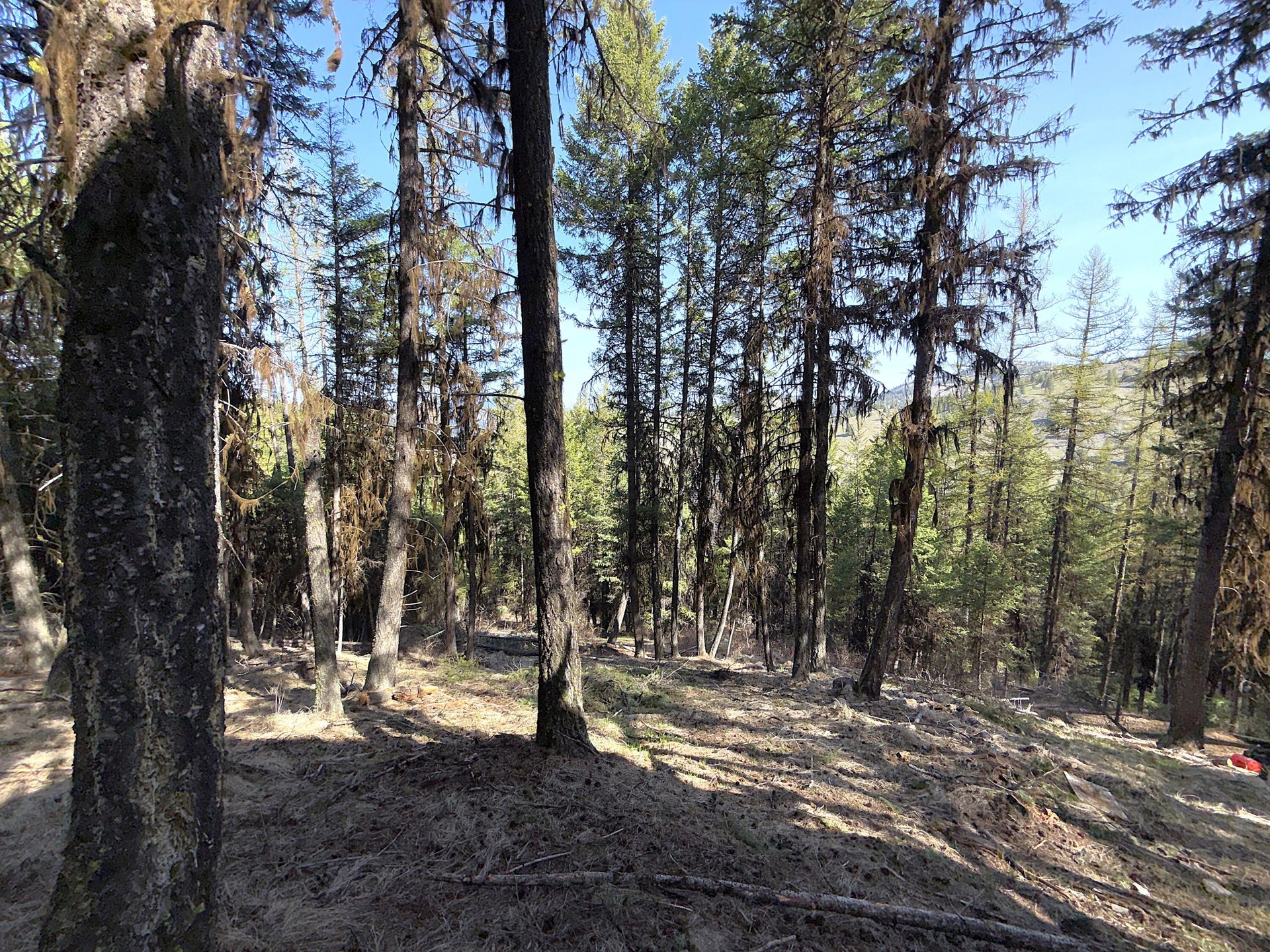 
                        Property photograph at
                        TBD GIVEOUT CREEK RD
                      