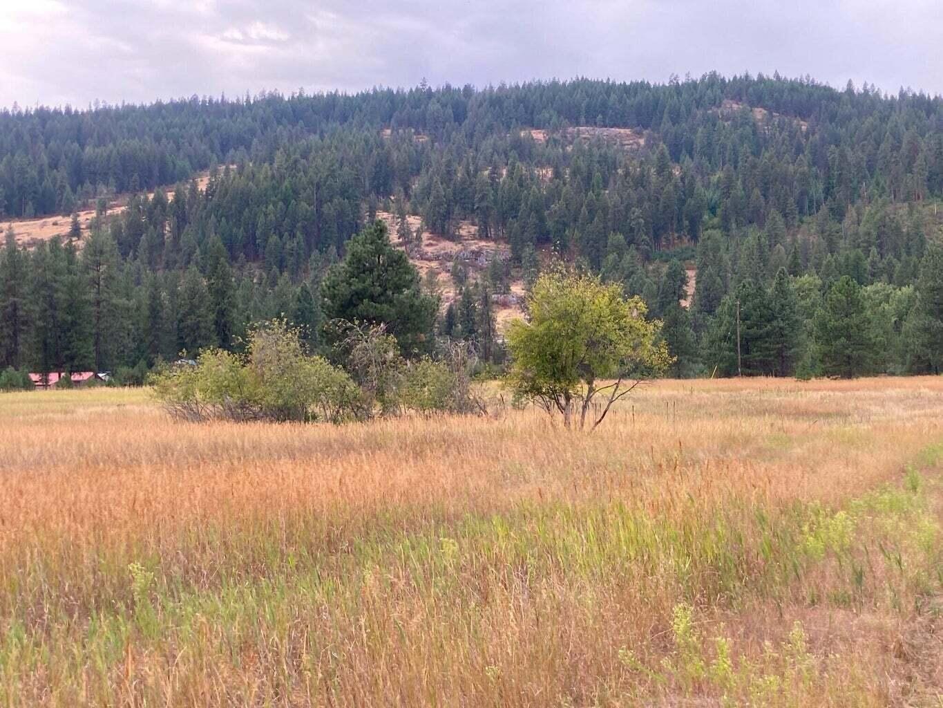 
                        Property photograph at
                        3349 ROCKCUT RD
                      