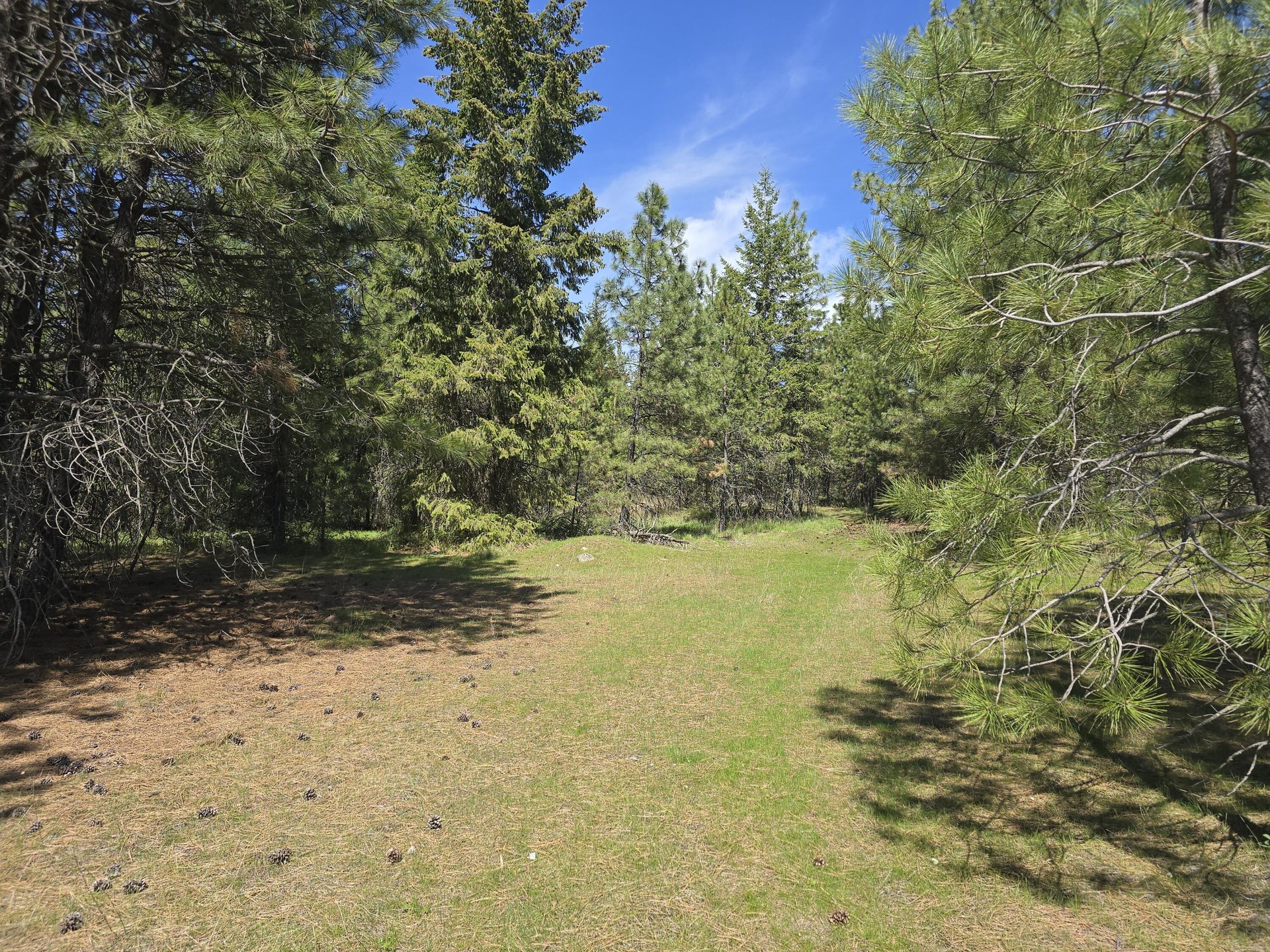 
                        Property photograph at
                        XXX W OREGON RD
                      
