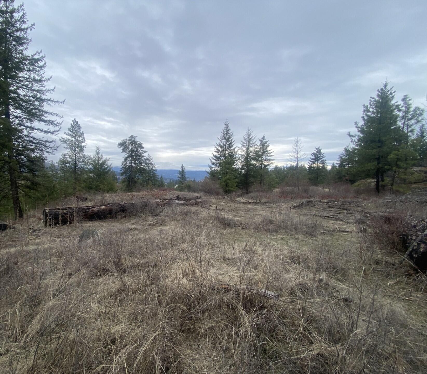 
                        Property photograph at
                        TRACT 2 COWBOYS AND ANGELS AVE
                      