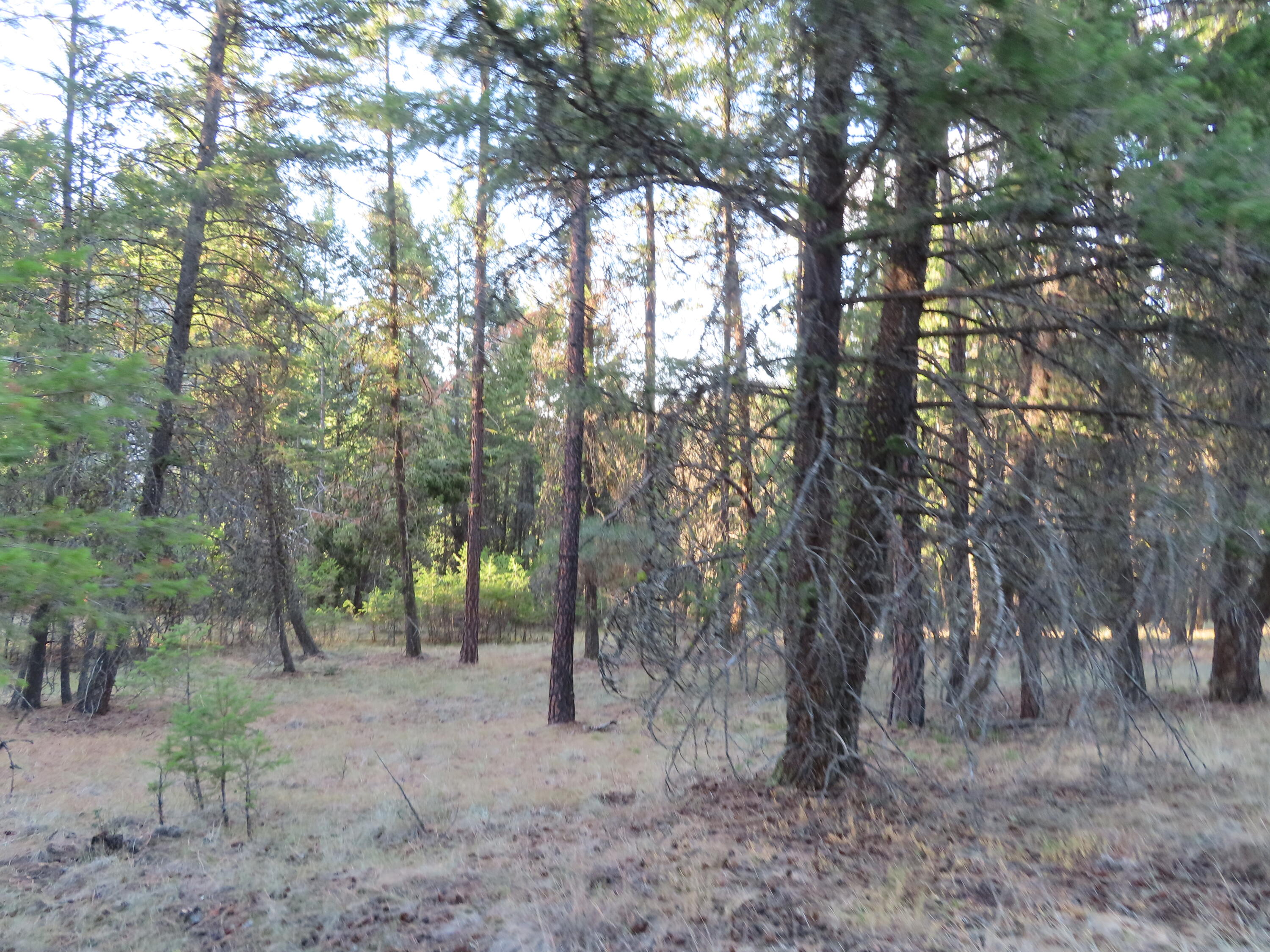 
                        Property photograph at
                        TBD TORODA CREEK RD
                      