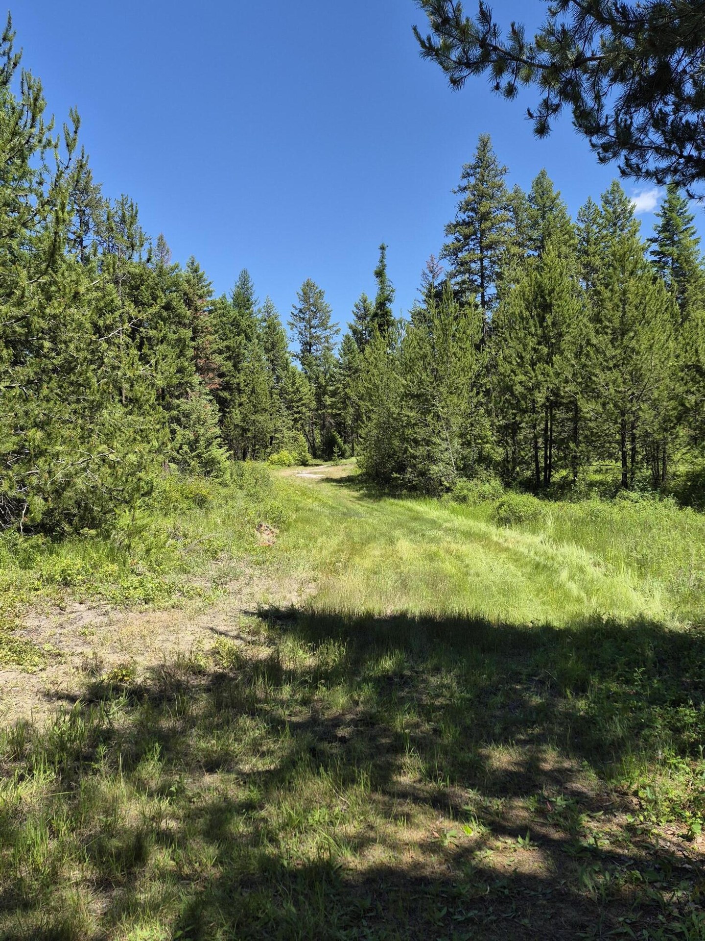 
                        Property photograph at
                        2094 CLUGSTON ONION CREEK RD
                      