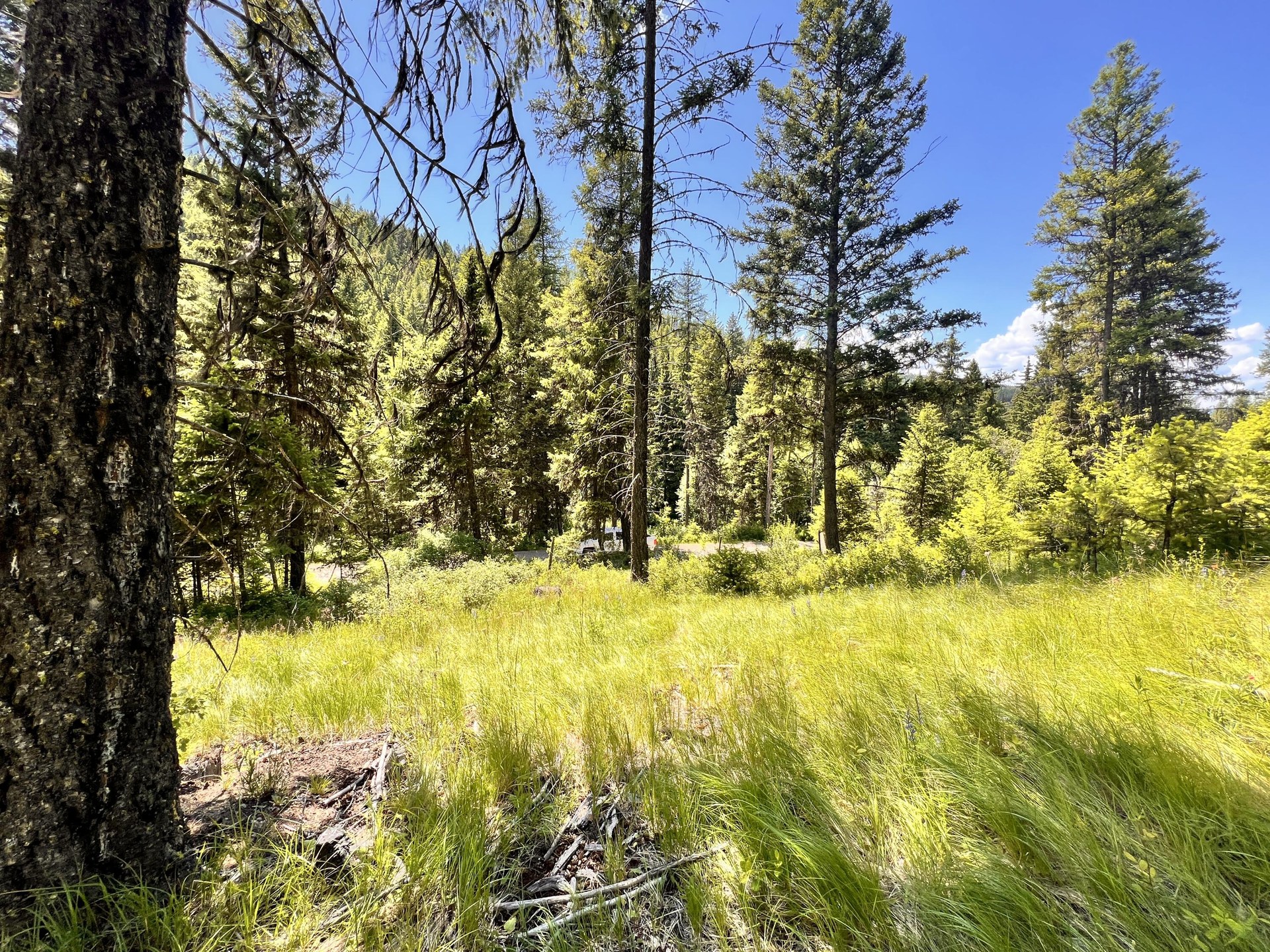 
                        Property photograph at
                        TBD OLD KETTLE FALLS RD
                      