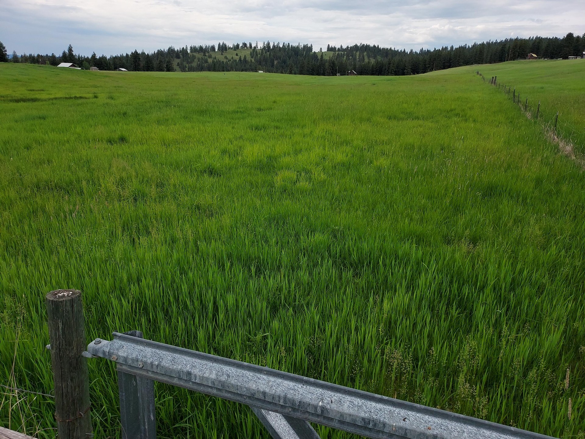 
                        Property photograph at
                        47 OLD RANCH HOUSE ROAD (LOT 2)
                      