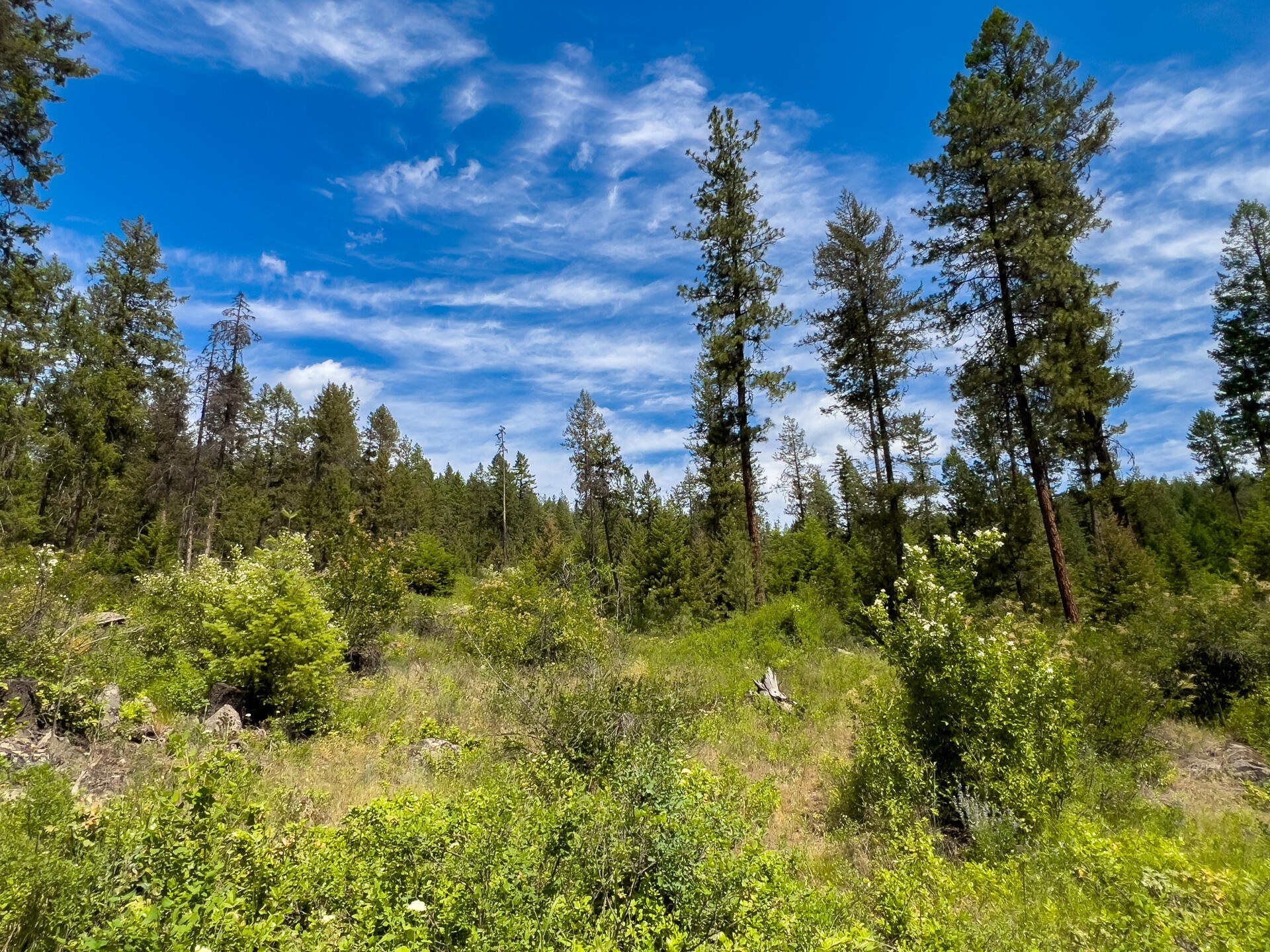 
                        Property photograph at
                        3124 ORIENT CUTOFF RD
                      